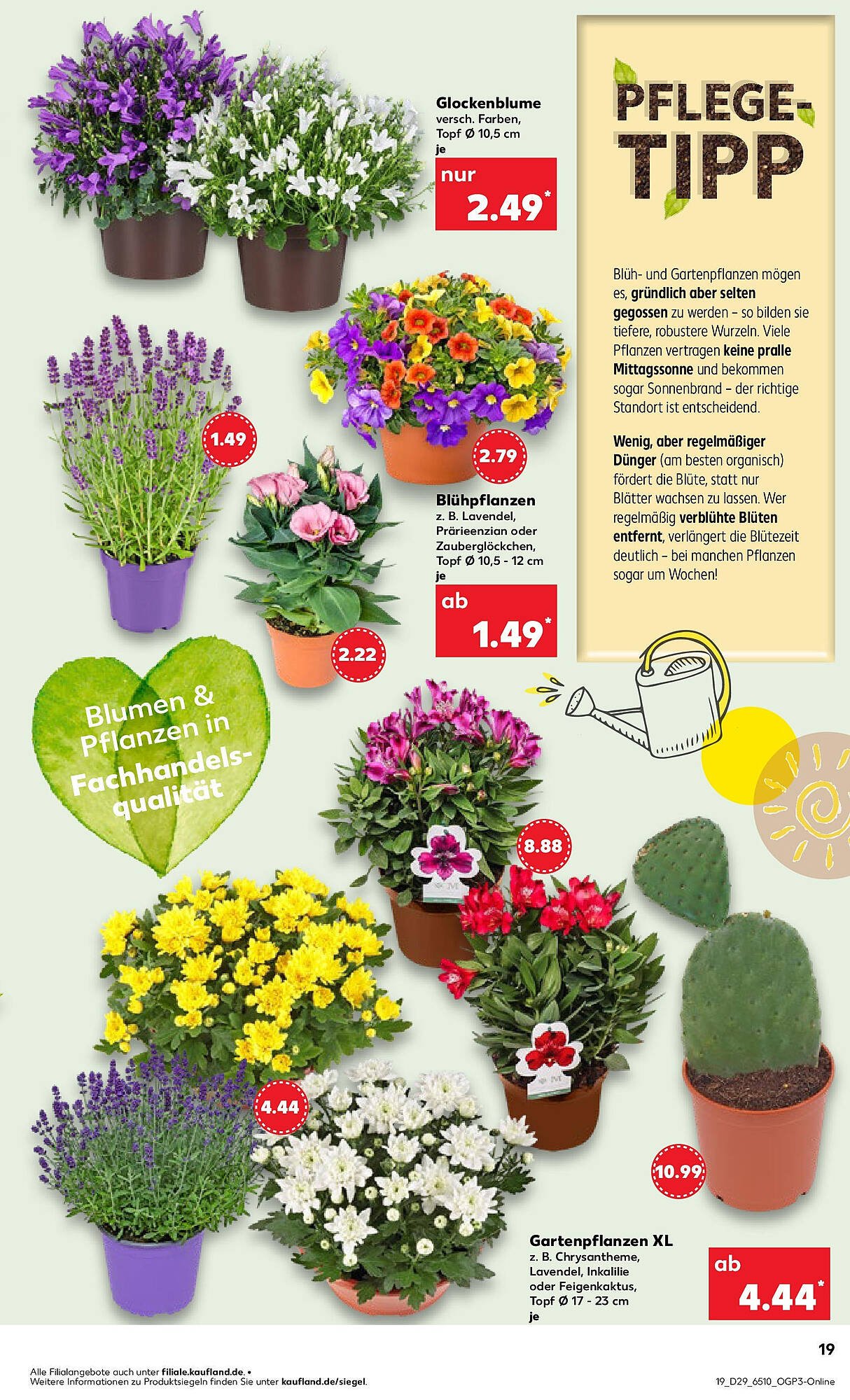 Kaufland Regio Prospekt (2025-07-16 - 2025-07-23)