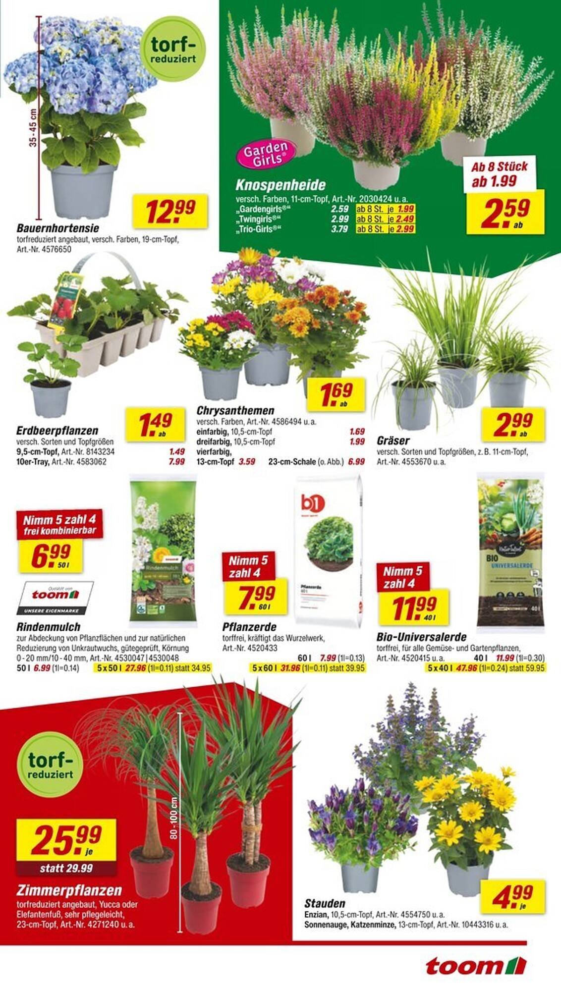 toom Baumarkt Prospekt (2025-08-09 - 2025-08-15) | 3