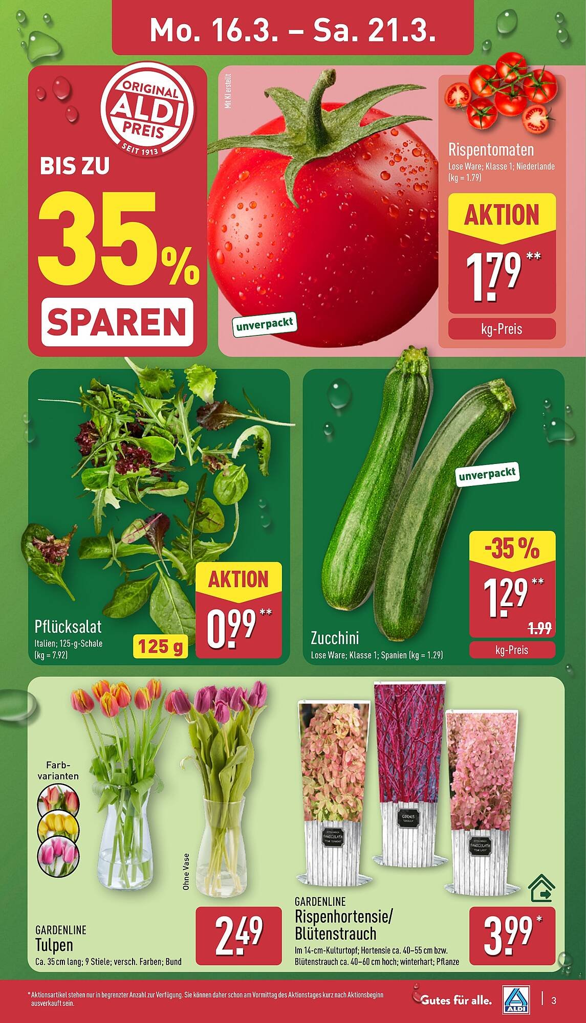 Aldi Nord Prospekt (2026-03-16 - 2026-03-21)