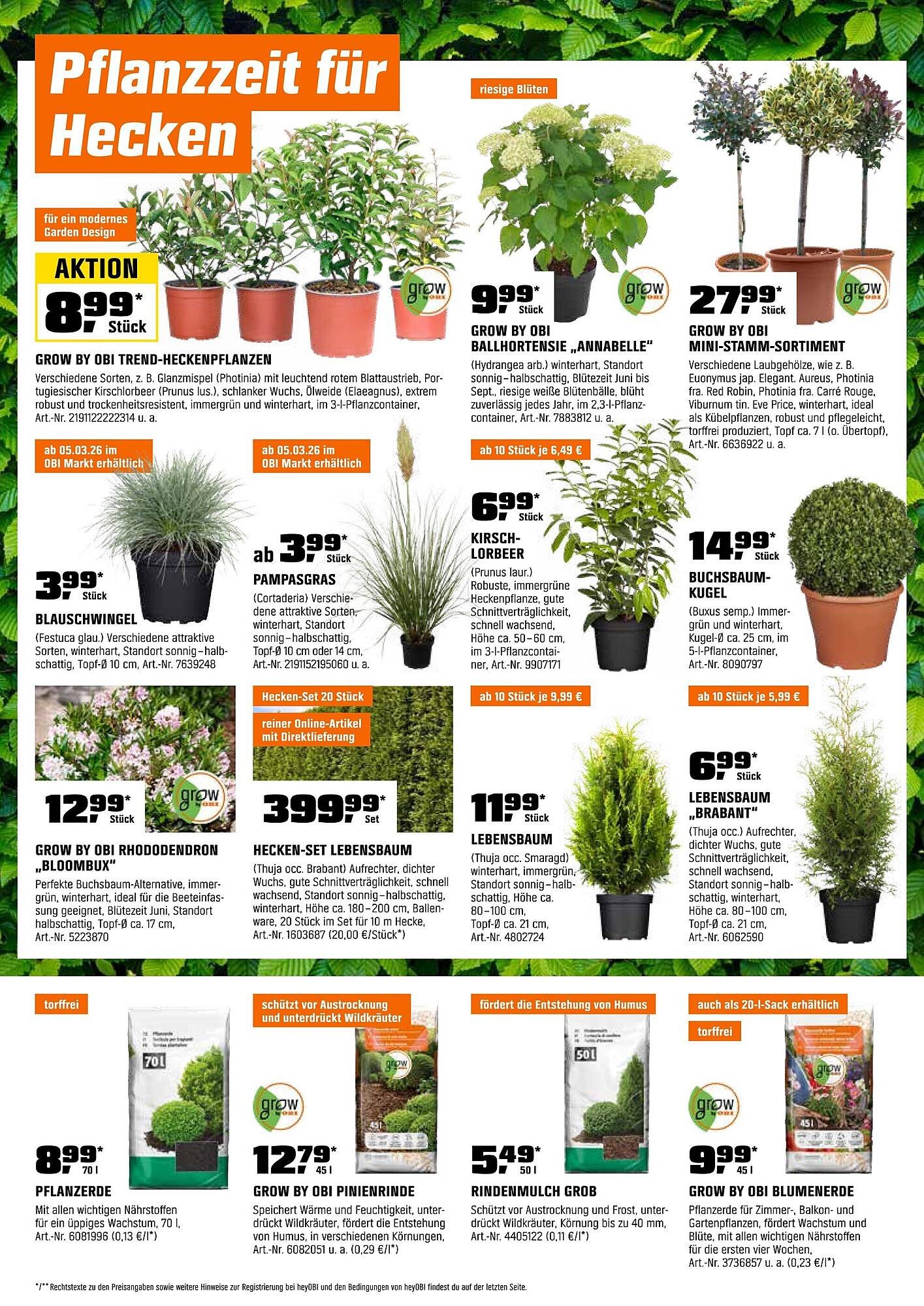 OBI Prospekt (2026-03-01 - 2026-03-31)