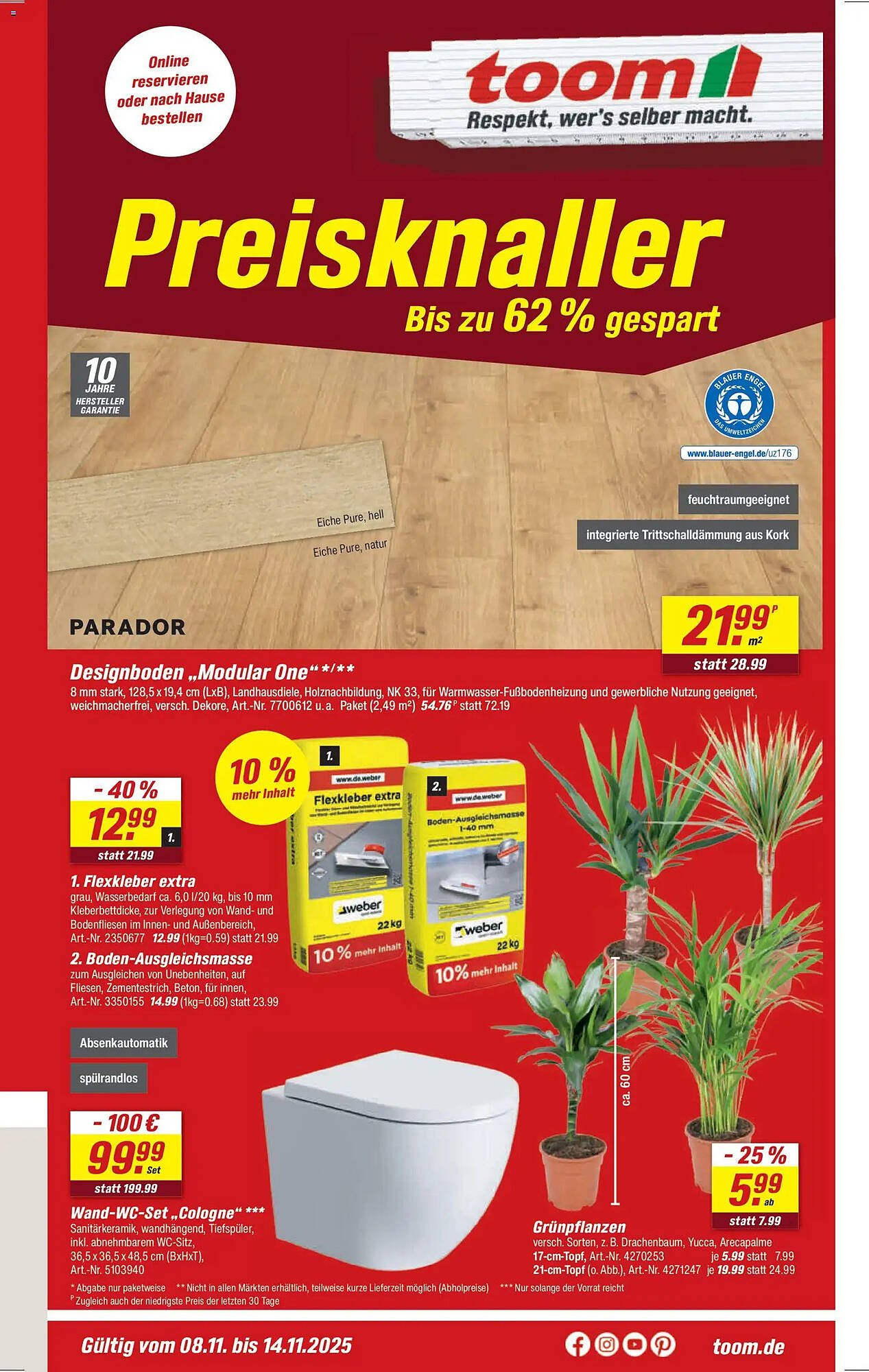 Toom Baumarkt Prospekt (2025-11-08 - 2025-11-14)