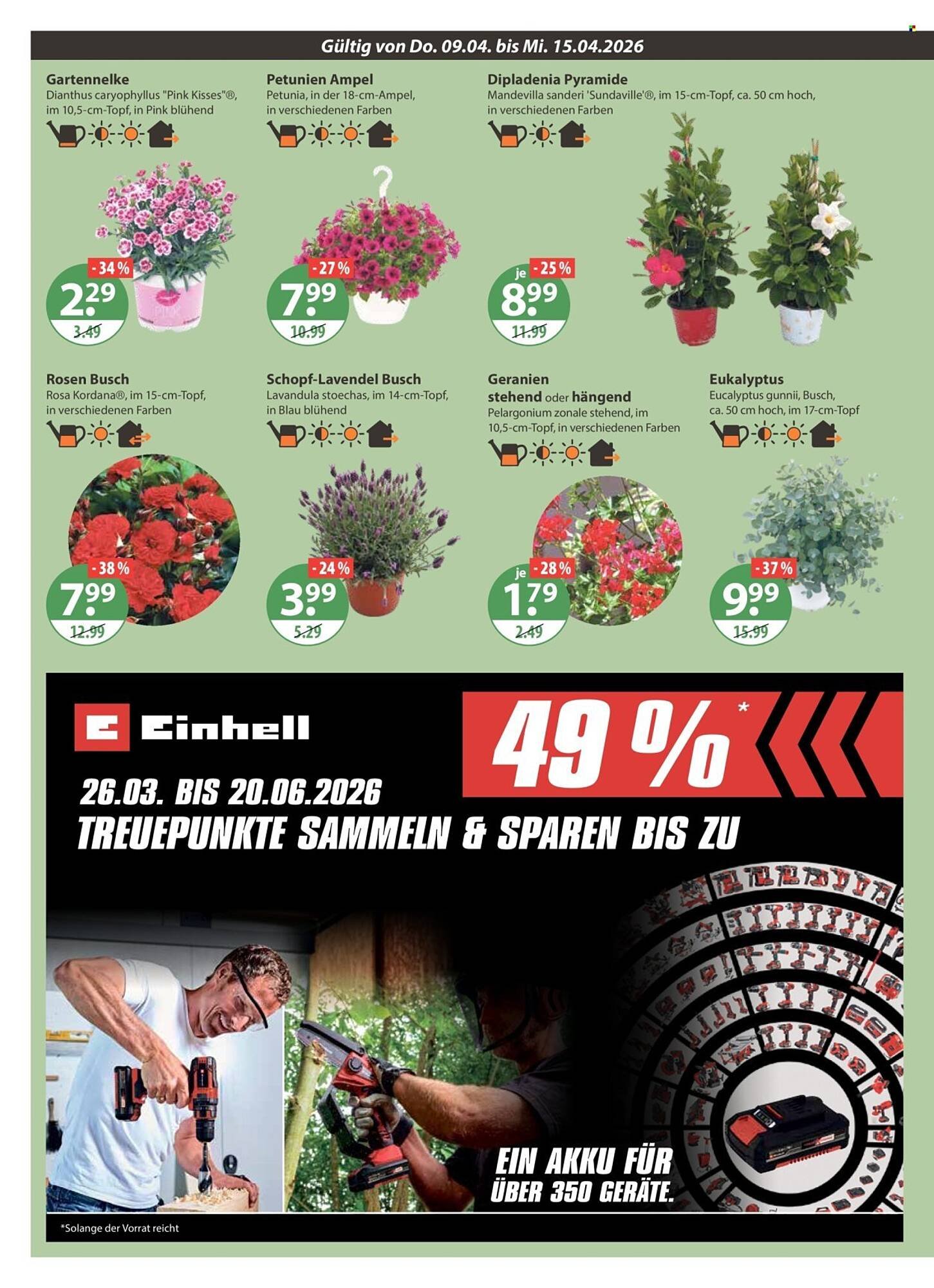 V Markt Prospekt (2026-04-09 - 2026-04-15)