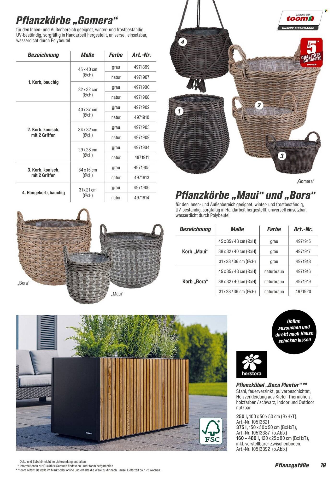 Toom Baumarkt Prospekt (2026-01-31 - 2026-03-31)