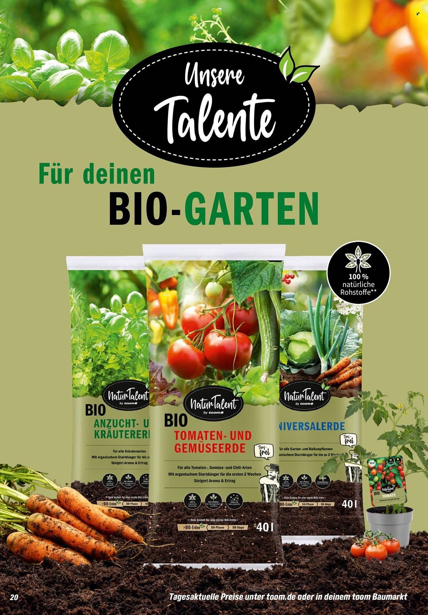 Toom Baumarkt Prospekt (2026-01-31 - 2026-03-31)