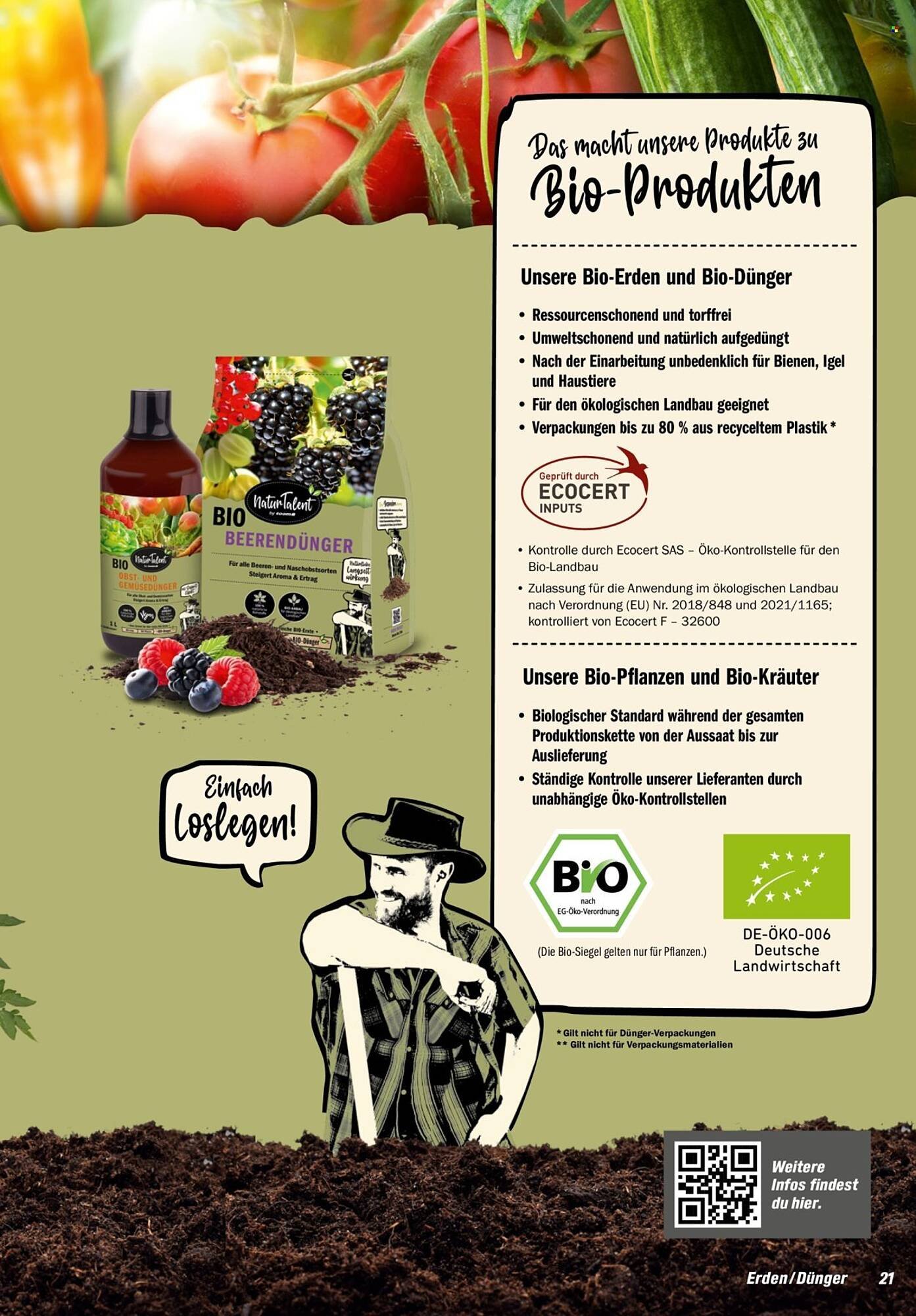 Toom Baumarkt Prospekt (2026-01-31 - 2026-03-31)