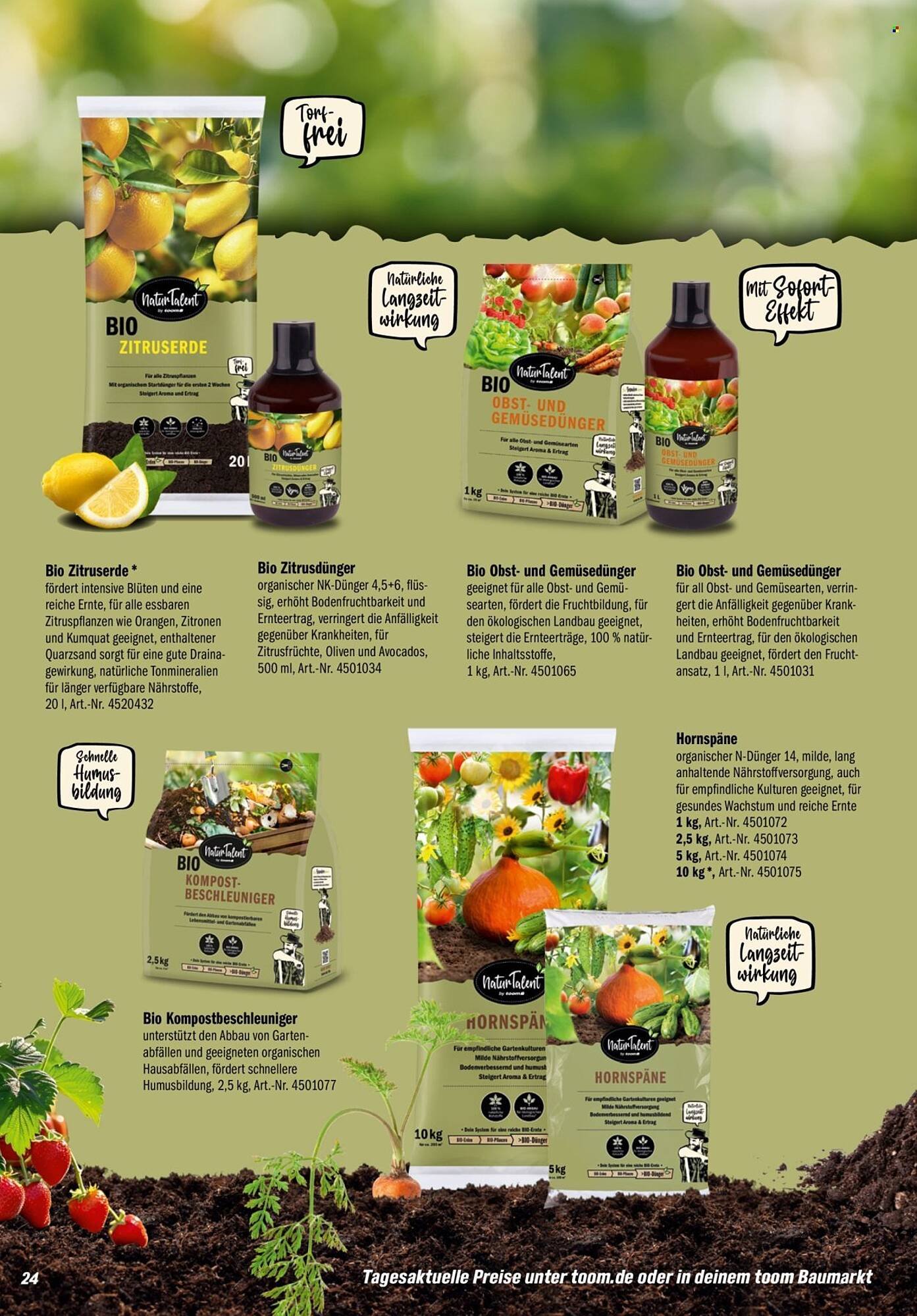 Toom Baumarkt Prospekt (2026-01-31 - 2026-03-31)