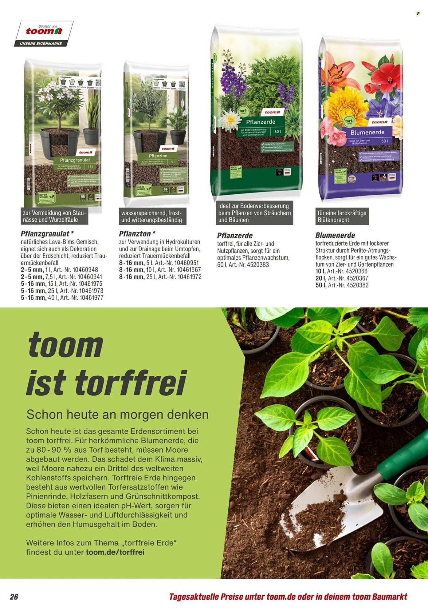 Toom Baumarkt Prospekt (2026-01-31 - 2026-03-31)