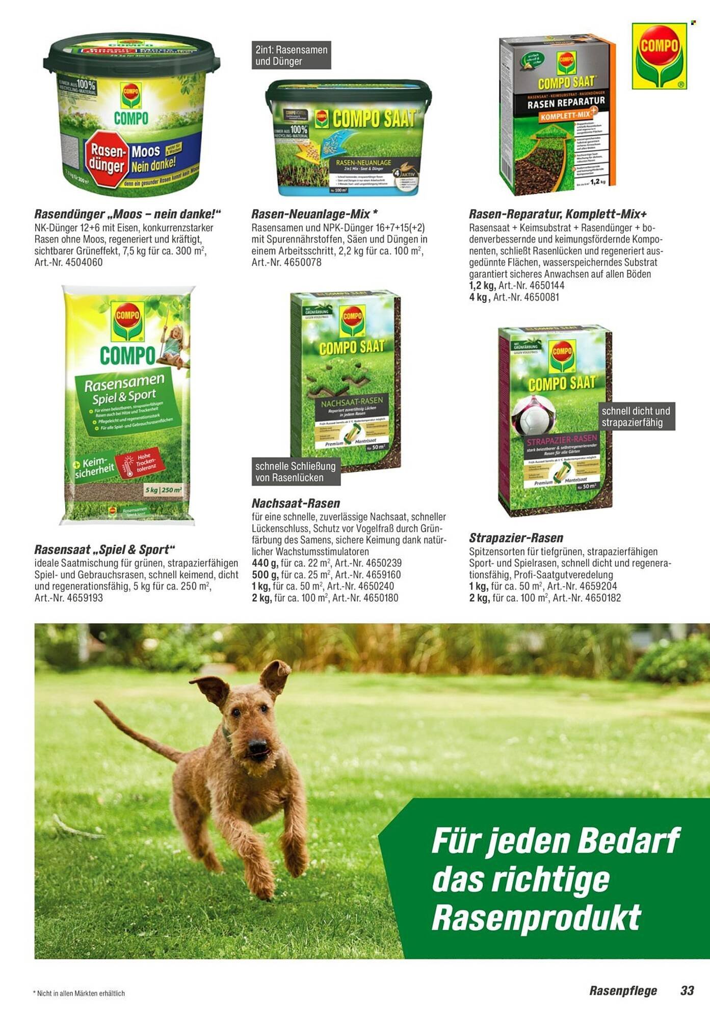 Toom Baumarkt Prospekt (2026-01-31 - 2026-03-31)