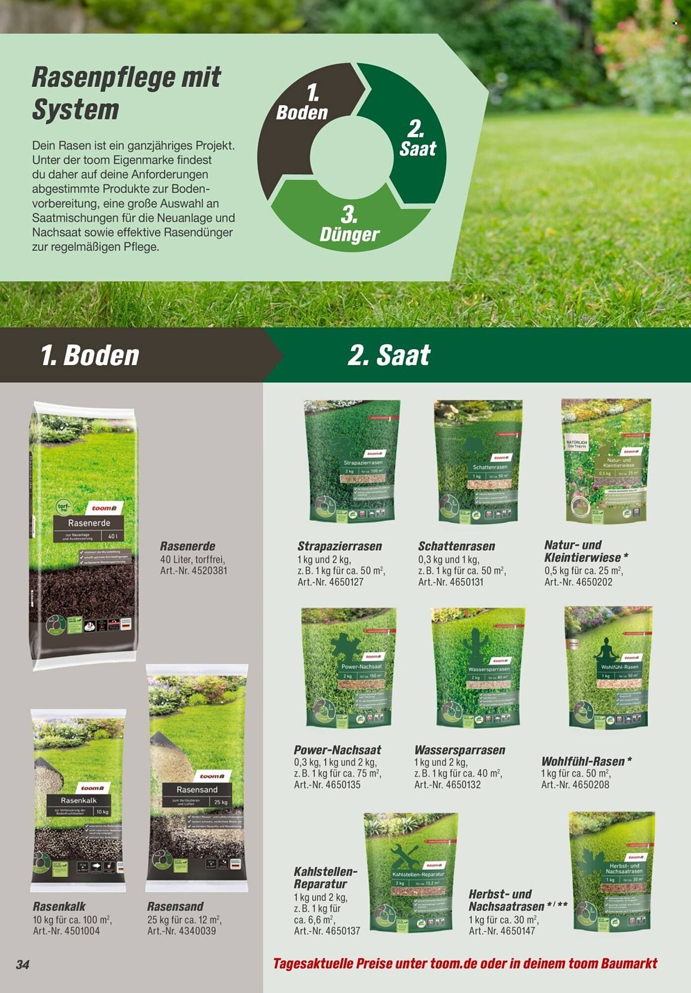 Toom Baumarkt Prospekt (2026-01-31 - 2026-03-31)