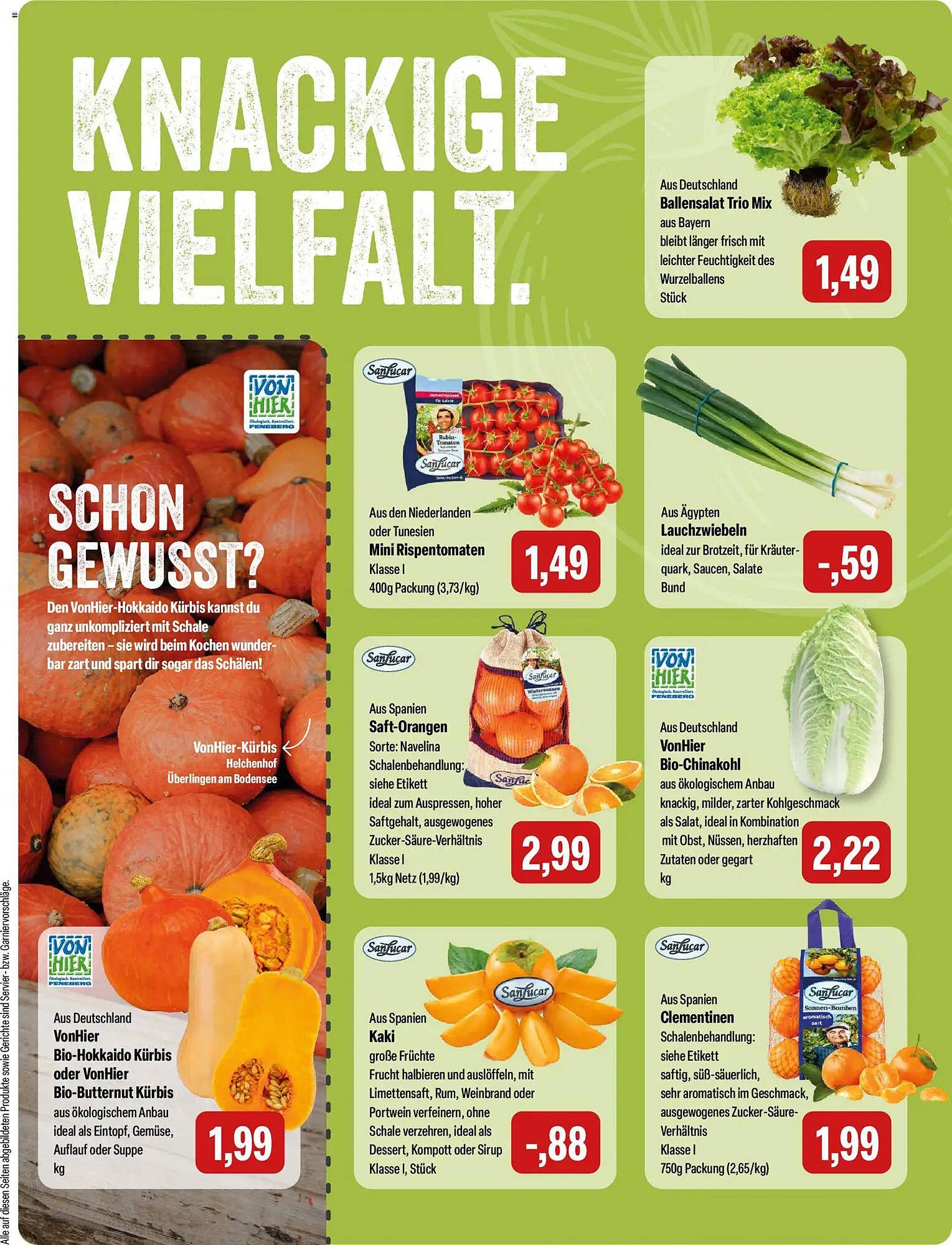 Feneberg Prospekt (2025-12-11 - 2025-12-13)