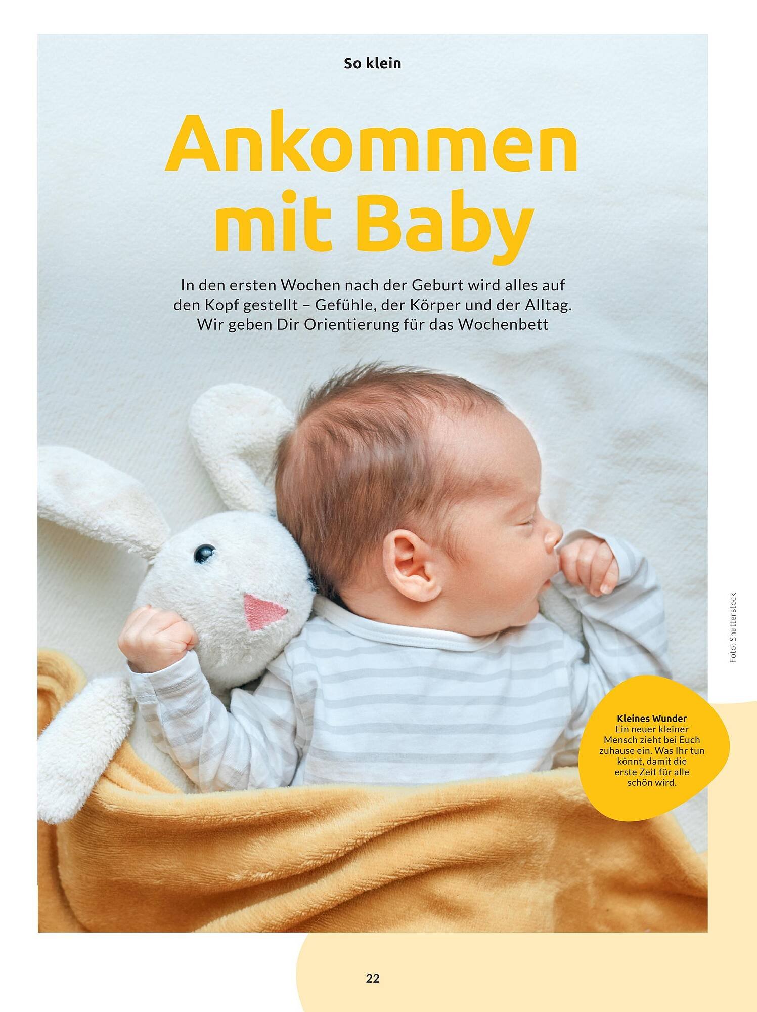 Budni Magazin (2026-02-24 - 2026-02-28)