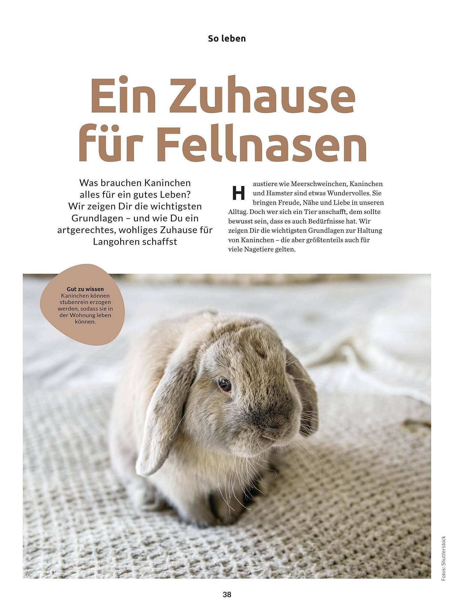 Budni Magazin (2026-02-24 - 2026-02-28)