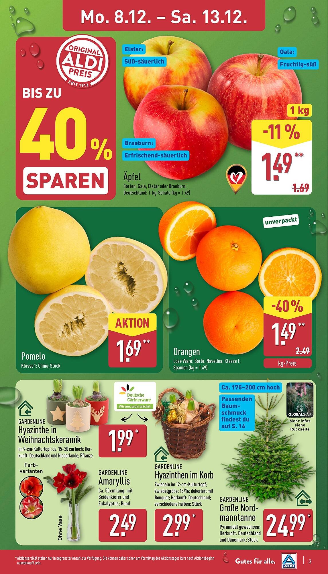 Aldi Nord Prospekt (2025-12-08 - 2025-12-13)