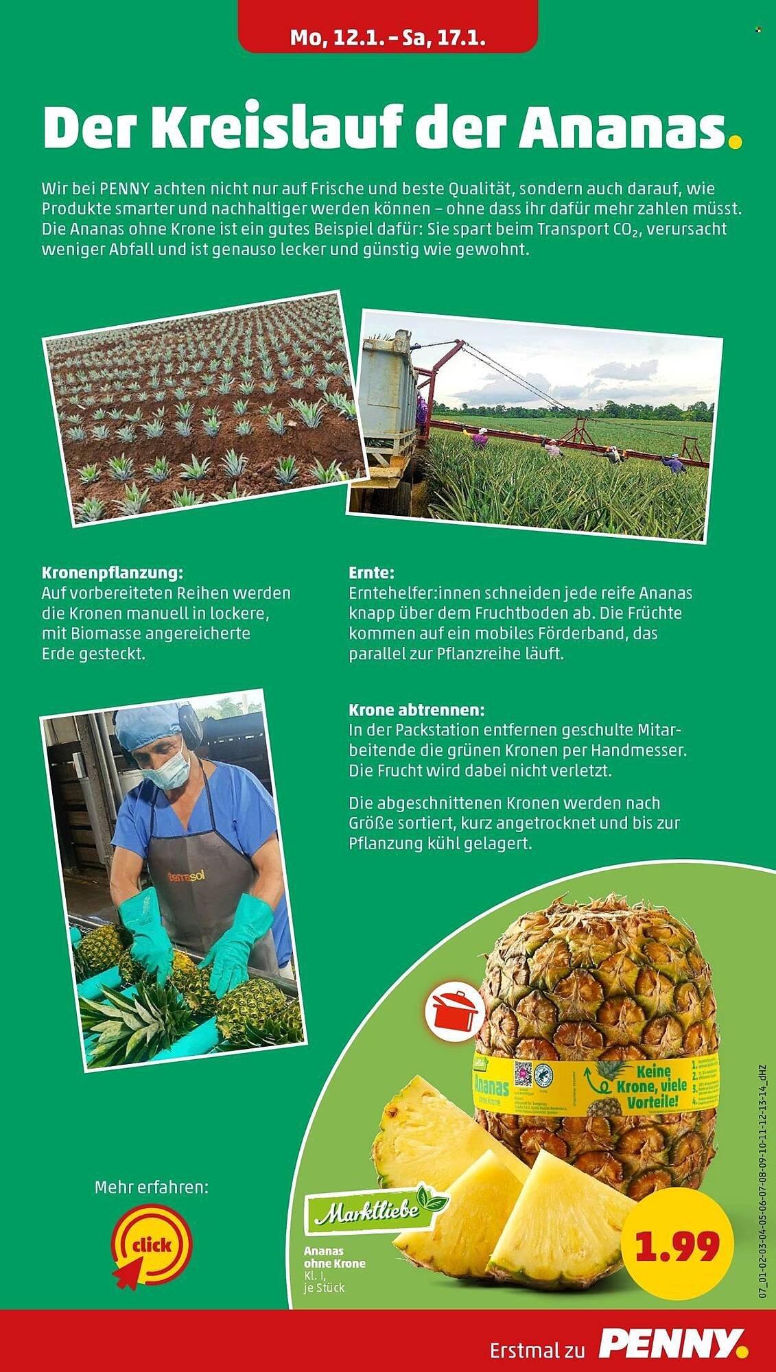 PENNY Prospekt (2026-01-12 - 2026-01-17)
