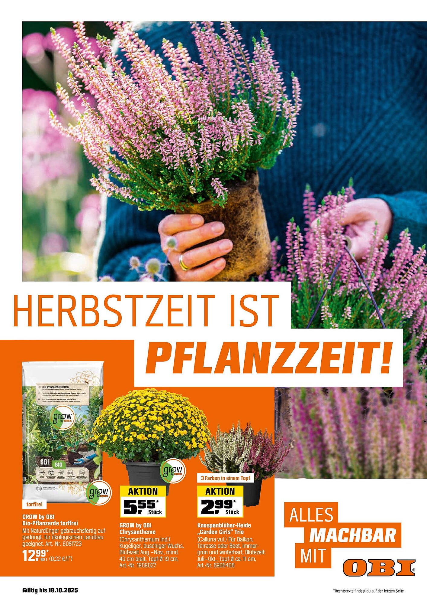 OBI Prospekt (2025-08-31 - 2025-10-18) | 1