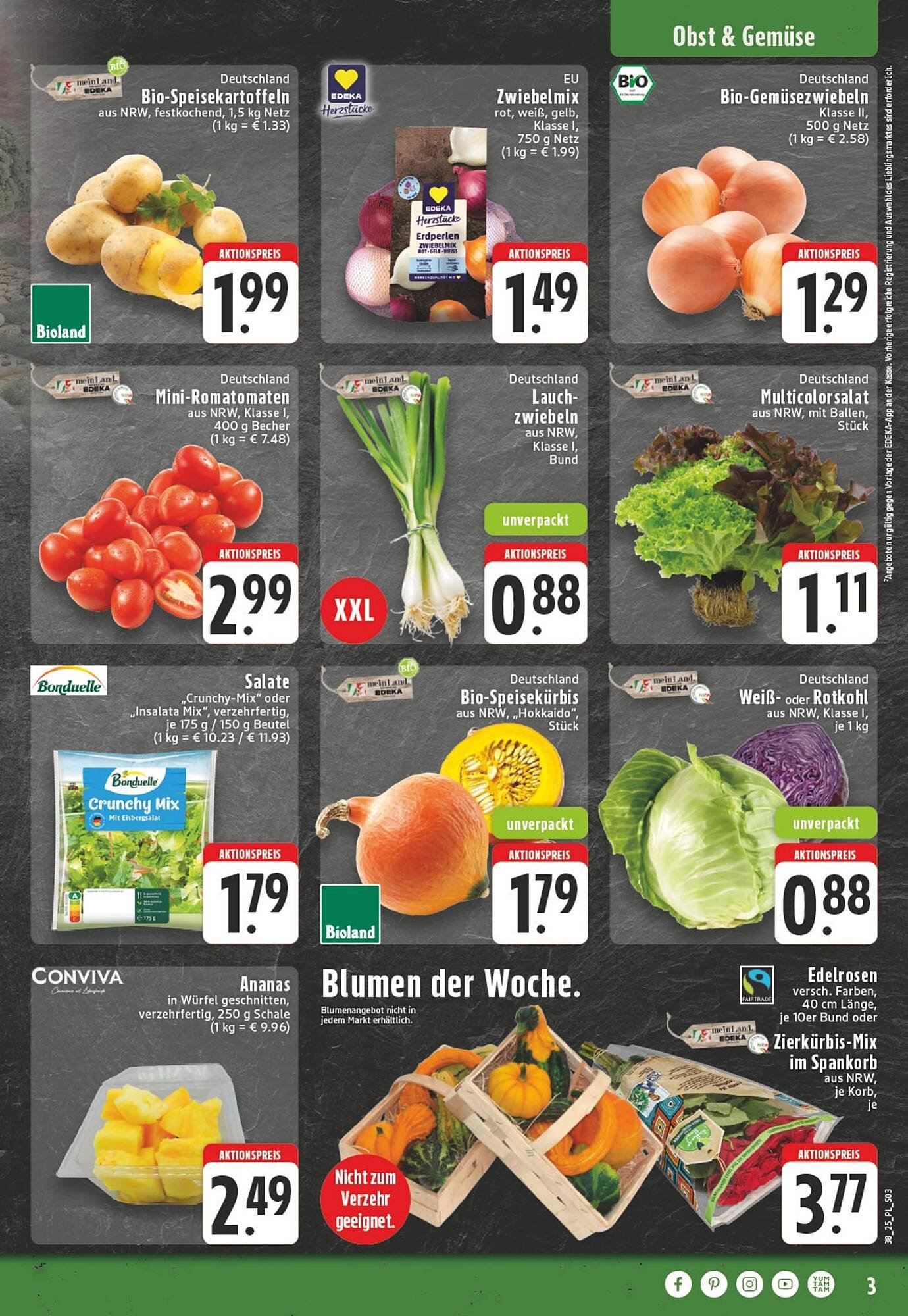 E-Center Prospekt (2025-09-15 - 2025-09-20) | 5