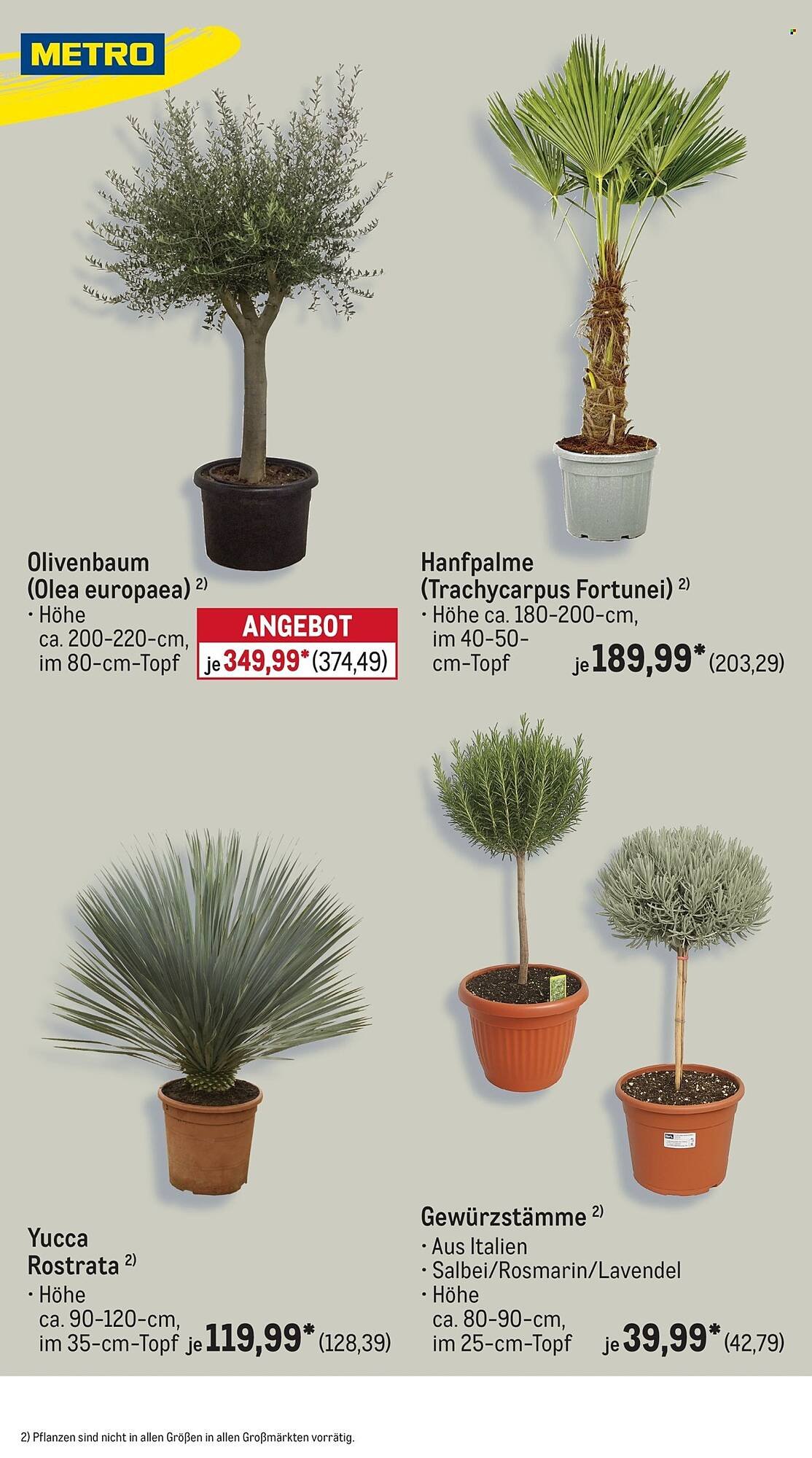 METRO Prospekt (2026-04-01 - 2026-04-30)