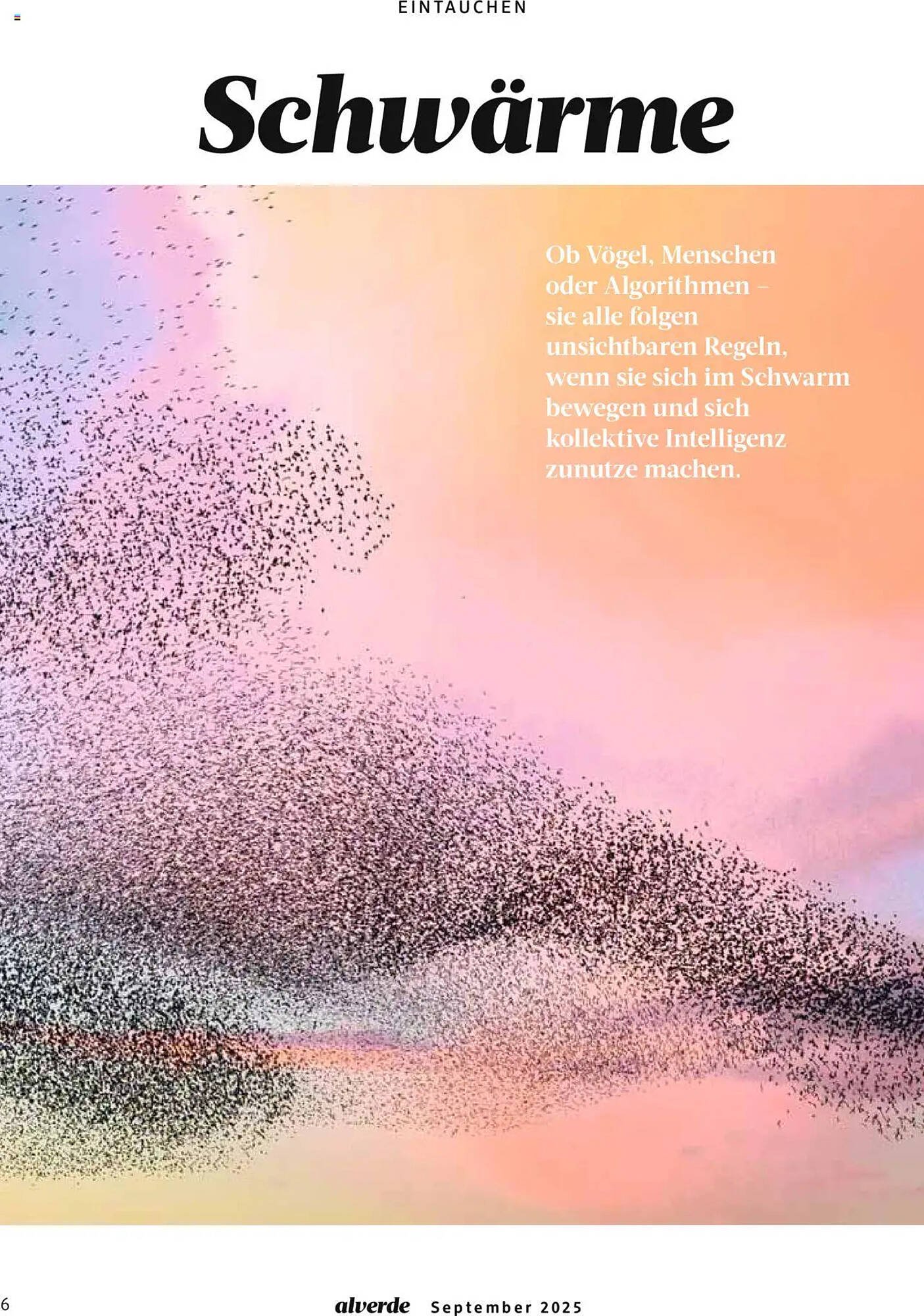 Dm drogerie Magazin (2025-09-01 - 2025-09-30) | 6