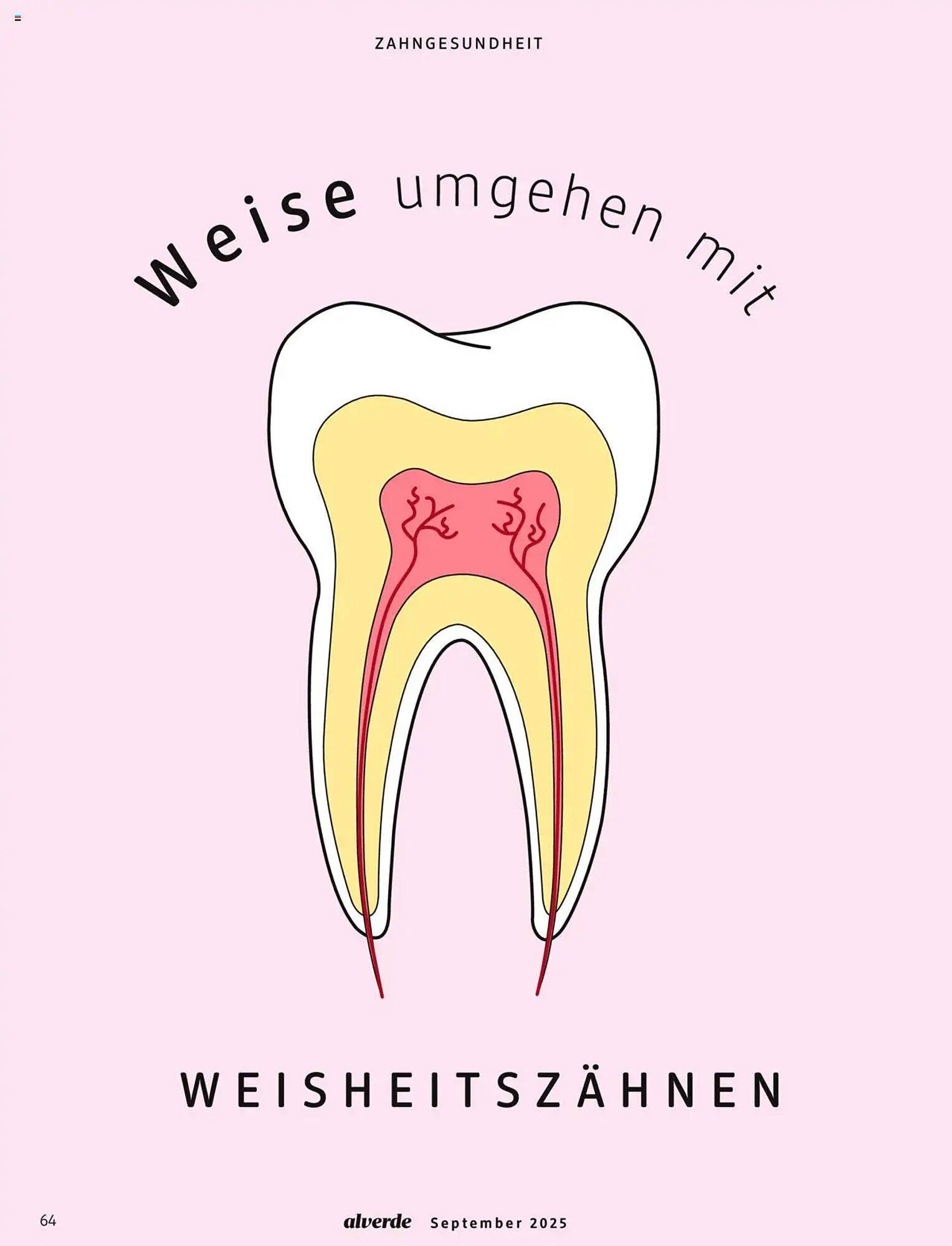Dm drogerie Magazin (2025-09-01 - 2025-09-30) | 64