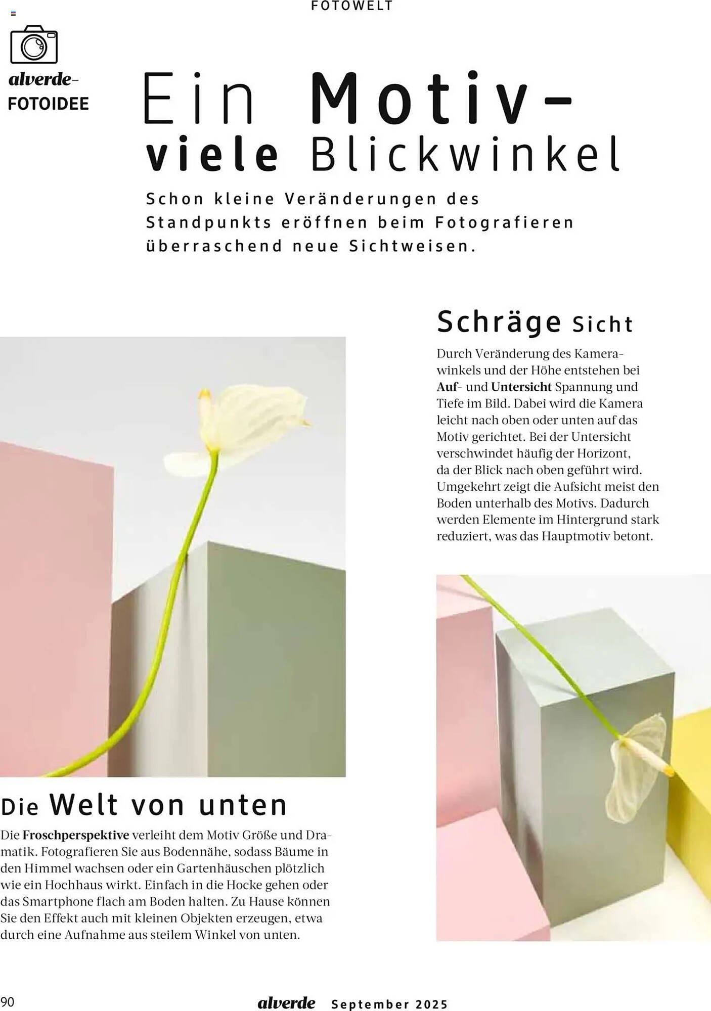 Dm drogerie Magazin (2025-09-01 - 2025-09-30) | 90