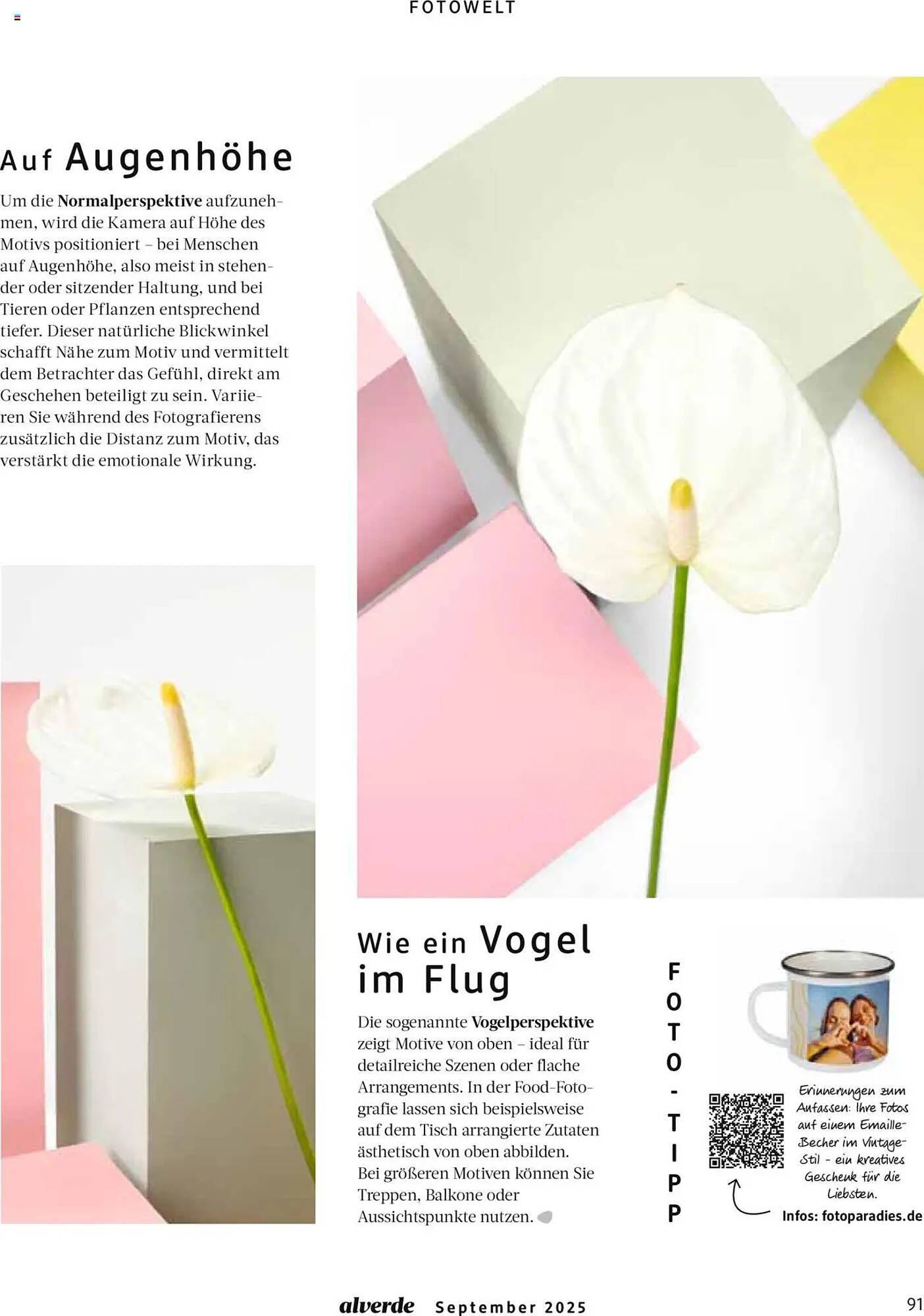 Dm drogerie Magazin (2025-09-01 - 2025-09-30) | 91