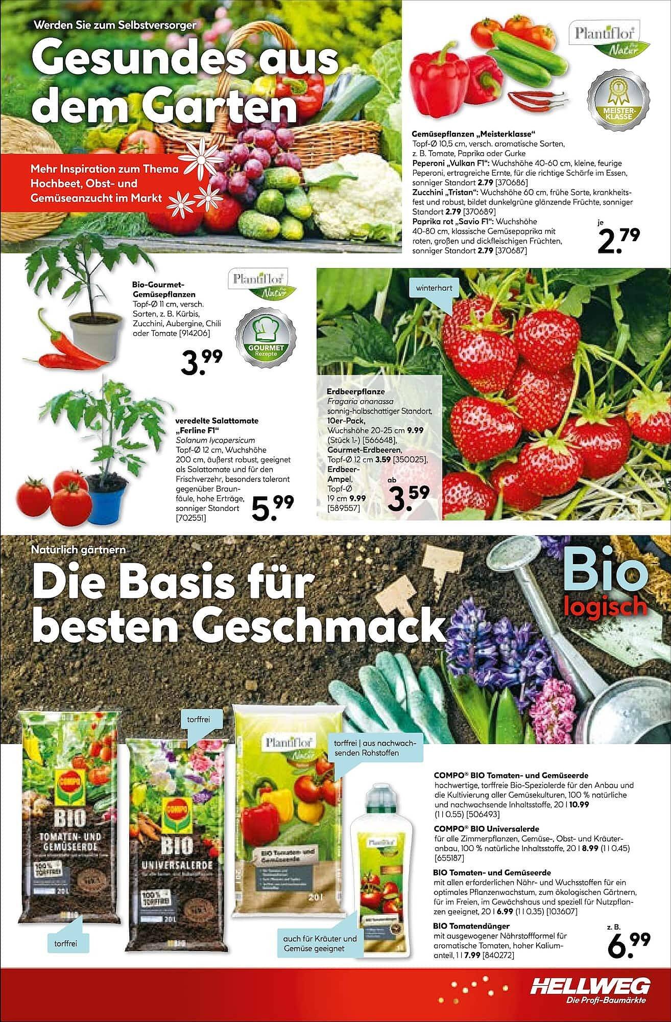 Hellweg Prospekt (2026-05-11 - 2026-05-16)