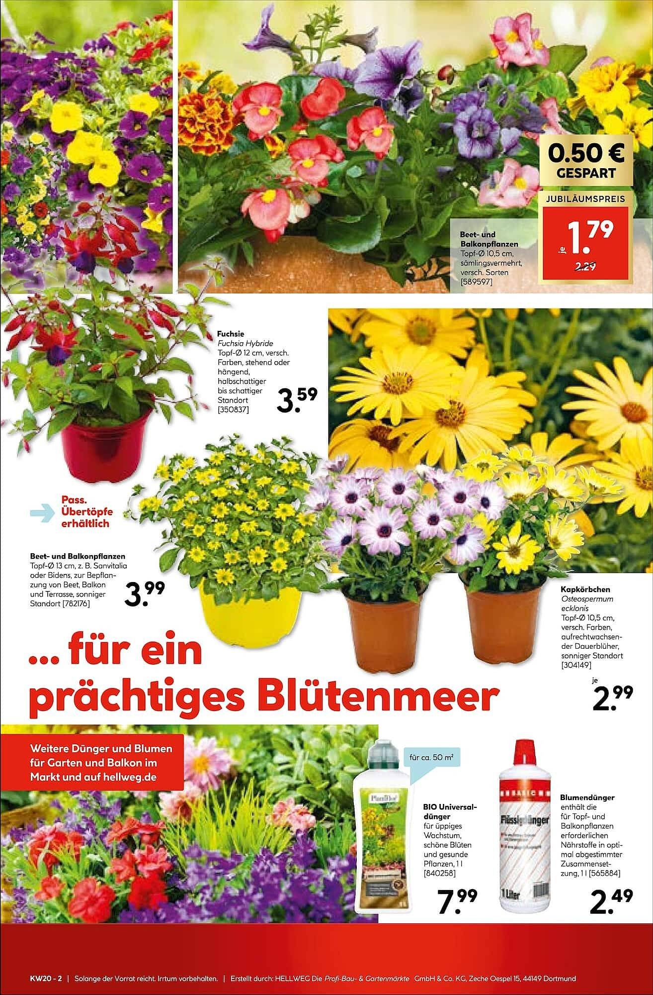 Hellweg Prospekt (2026-05-11 - 2026-05-16)