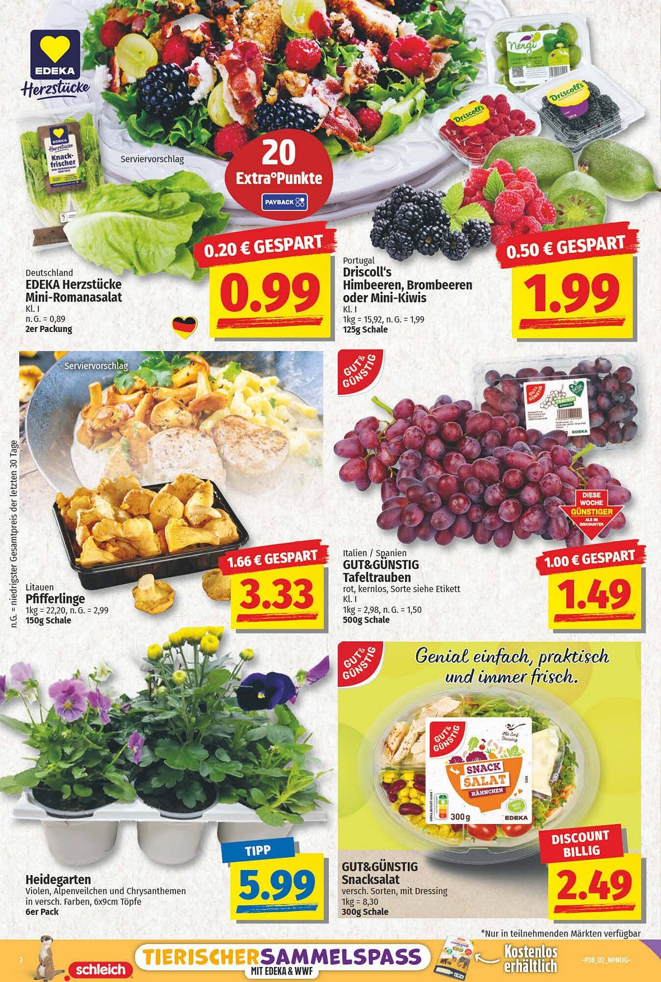 NP Discount Prospekt (2025-09-15 - 2025-09-20) | 2