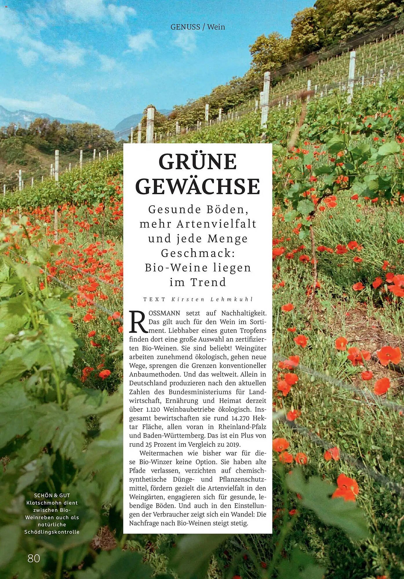 Rossmann Magazin (2025-11-01 - 2025-11-30)