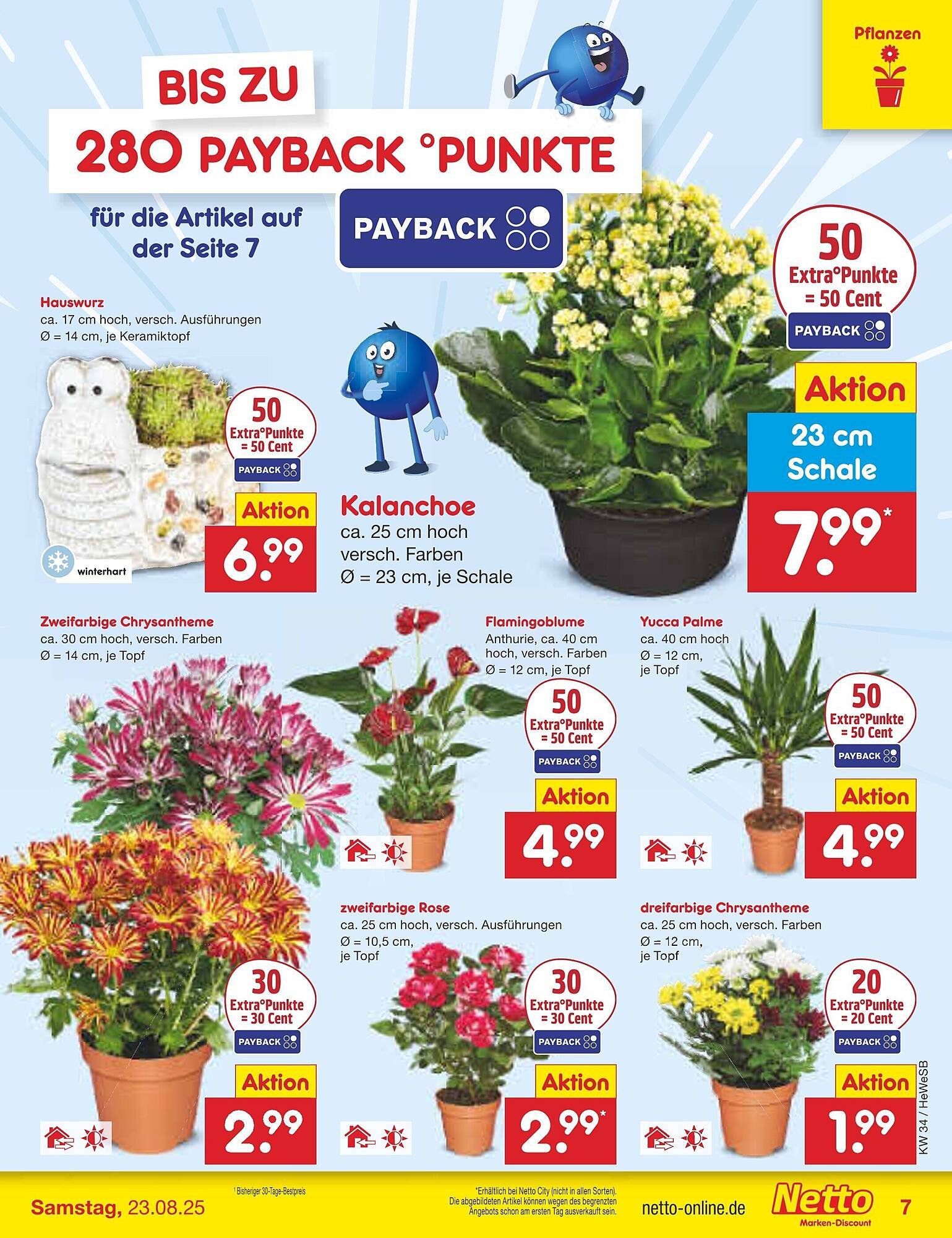 Netto Marken-Discount Prospekt (2025-08-18 - 2025-08-23) | 7