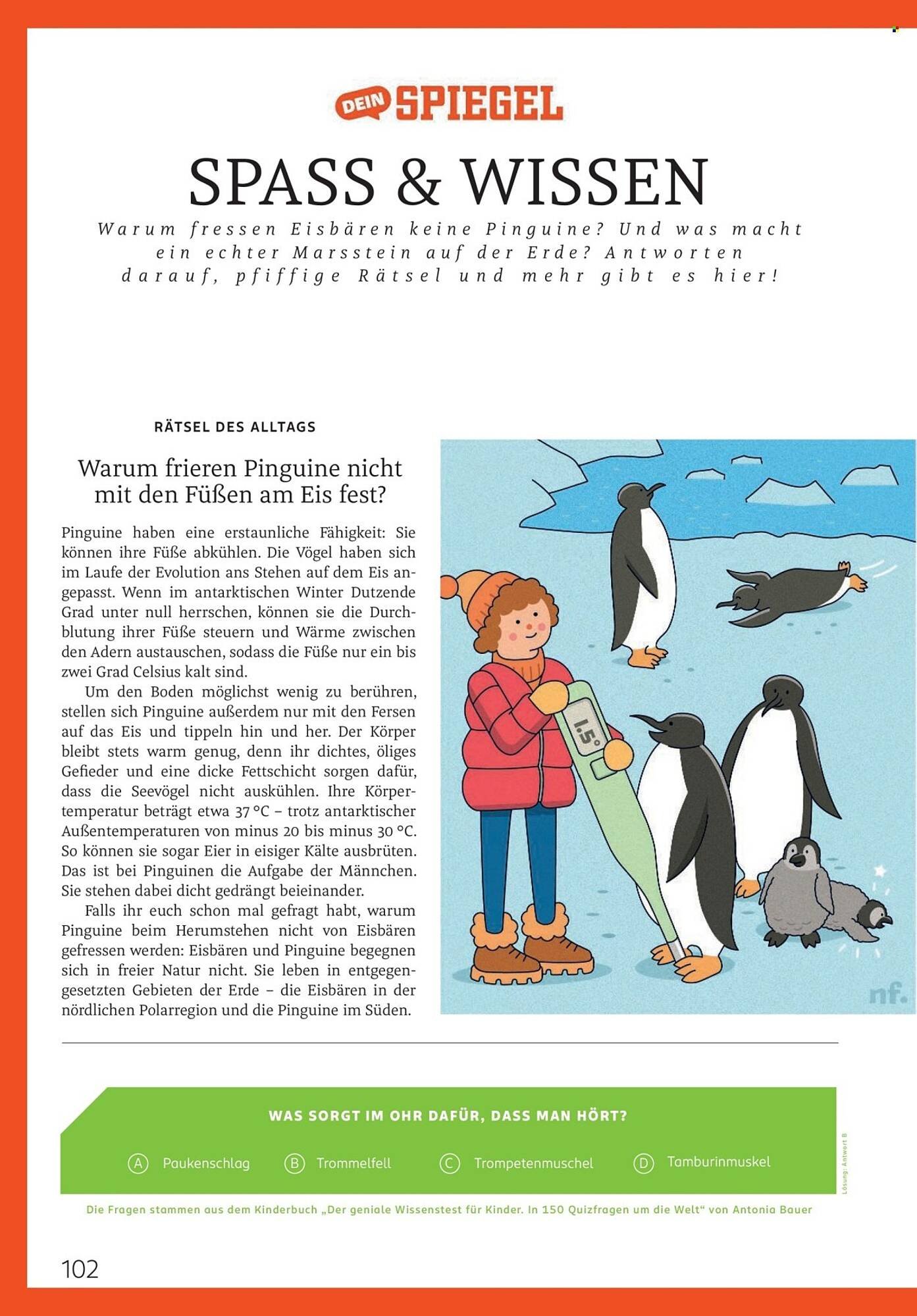 Rossmann Magazin (2026-01-01 - 2026-01-31)