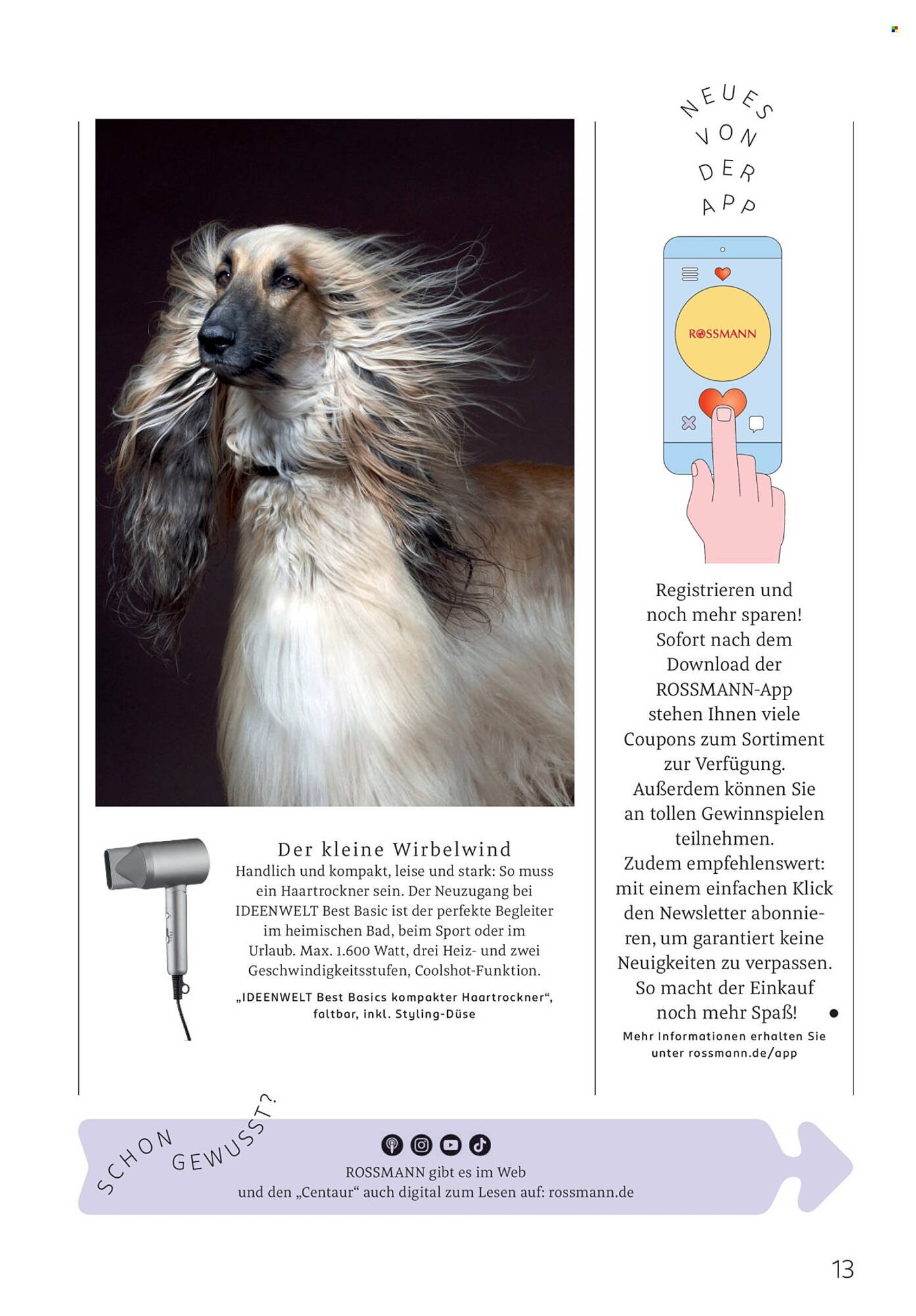 Rossmann Magazin (2026-01-01 - 2026-01-31)