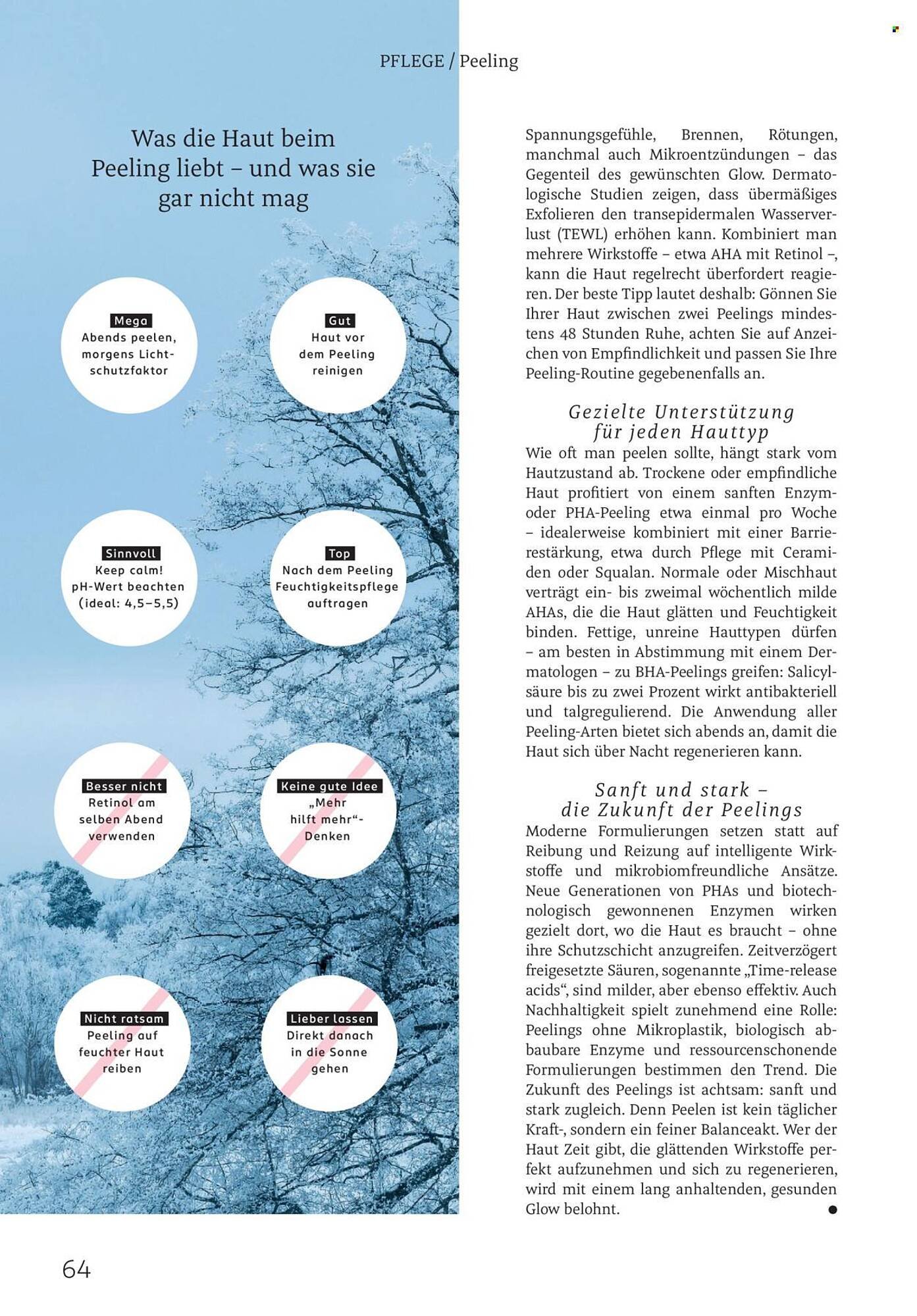 Rossmann Magazin (2026-01-01 - 2026-01-31)