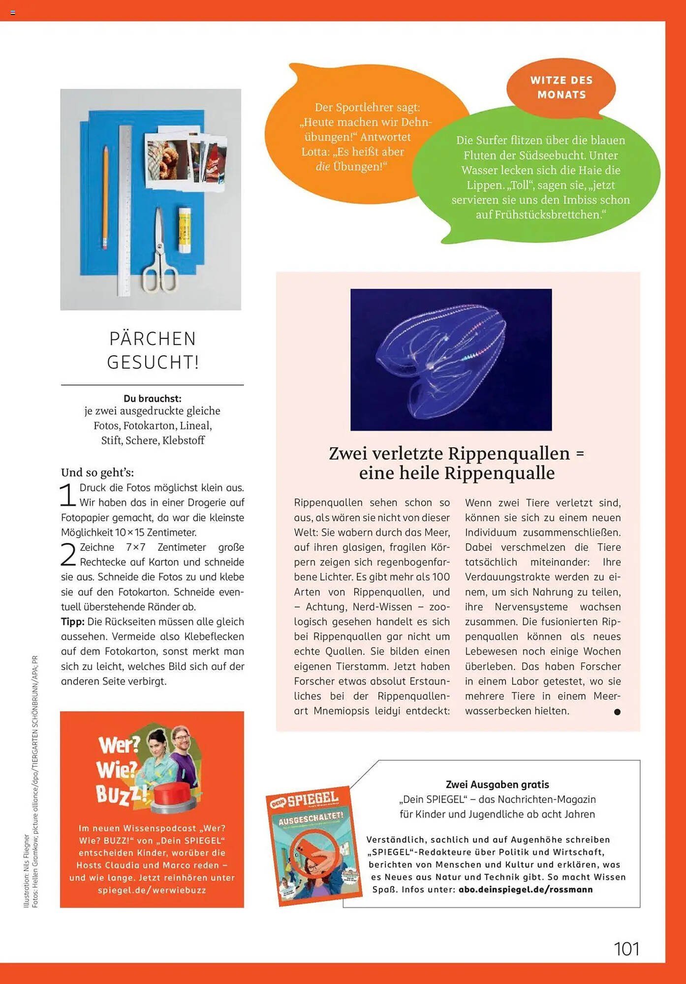 Rossmann Prospekt (2025-08-01 - 2025-08-31)