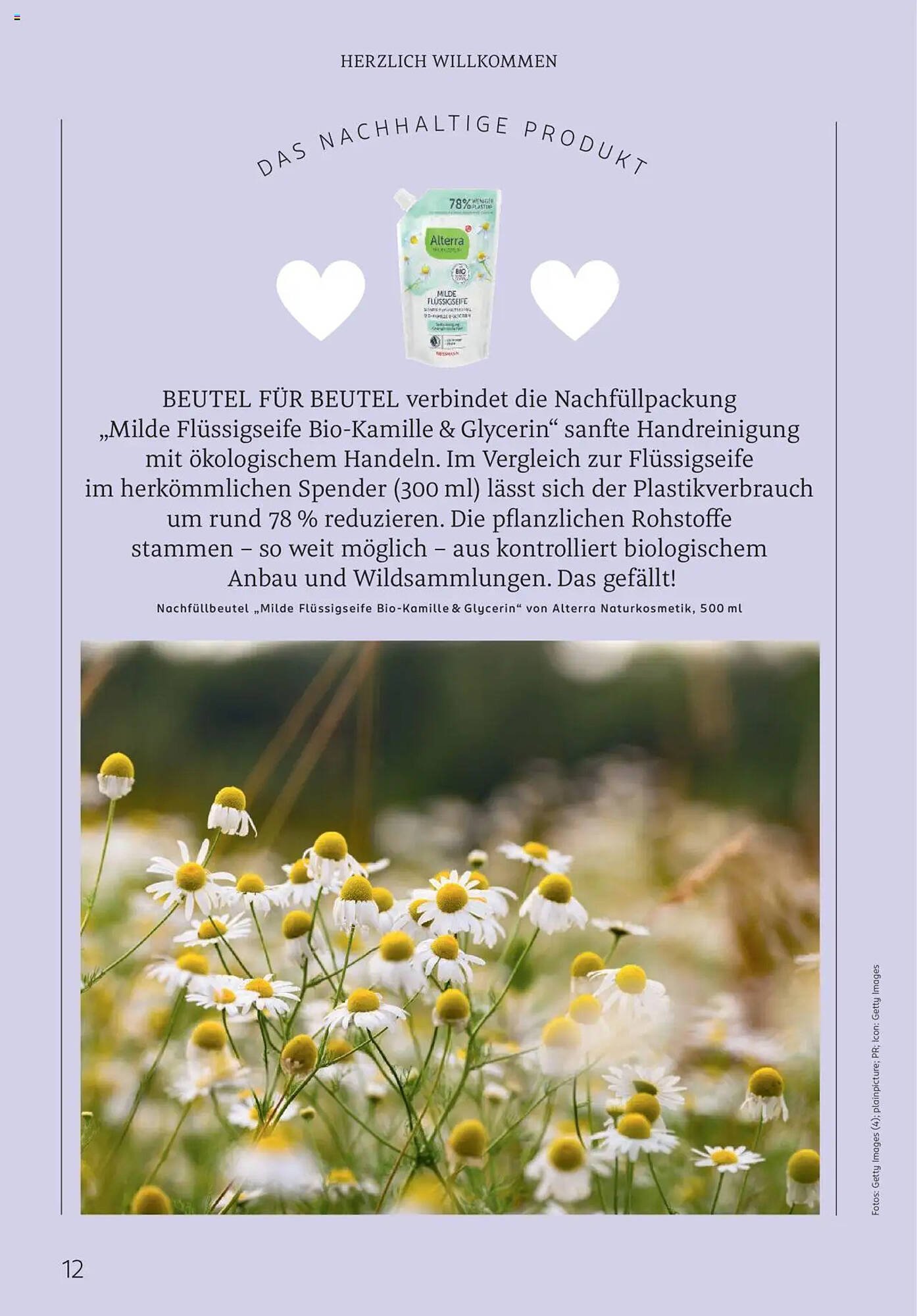 Rossmann Prospekt (2025-08-01 - 2025-08-31)