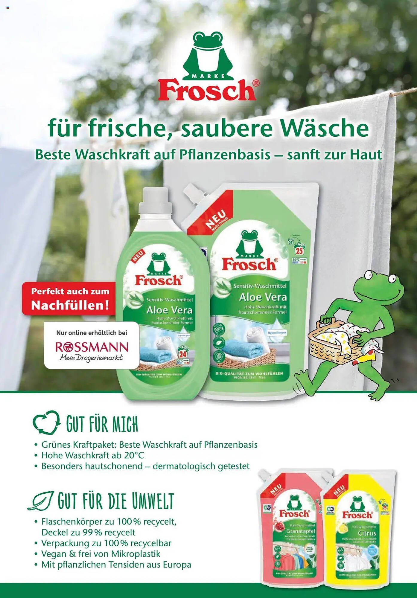 Rossmann Prospekt (2025-08-01 - 2025-08-31)