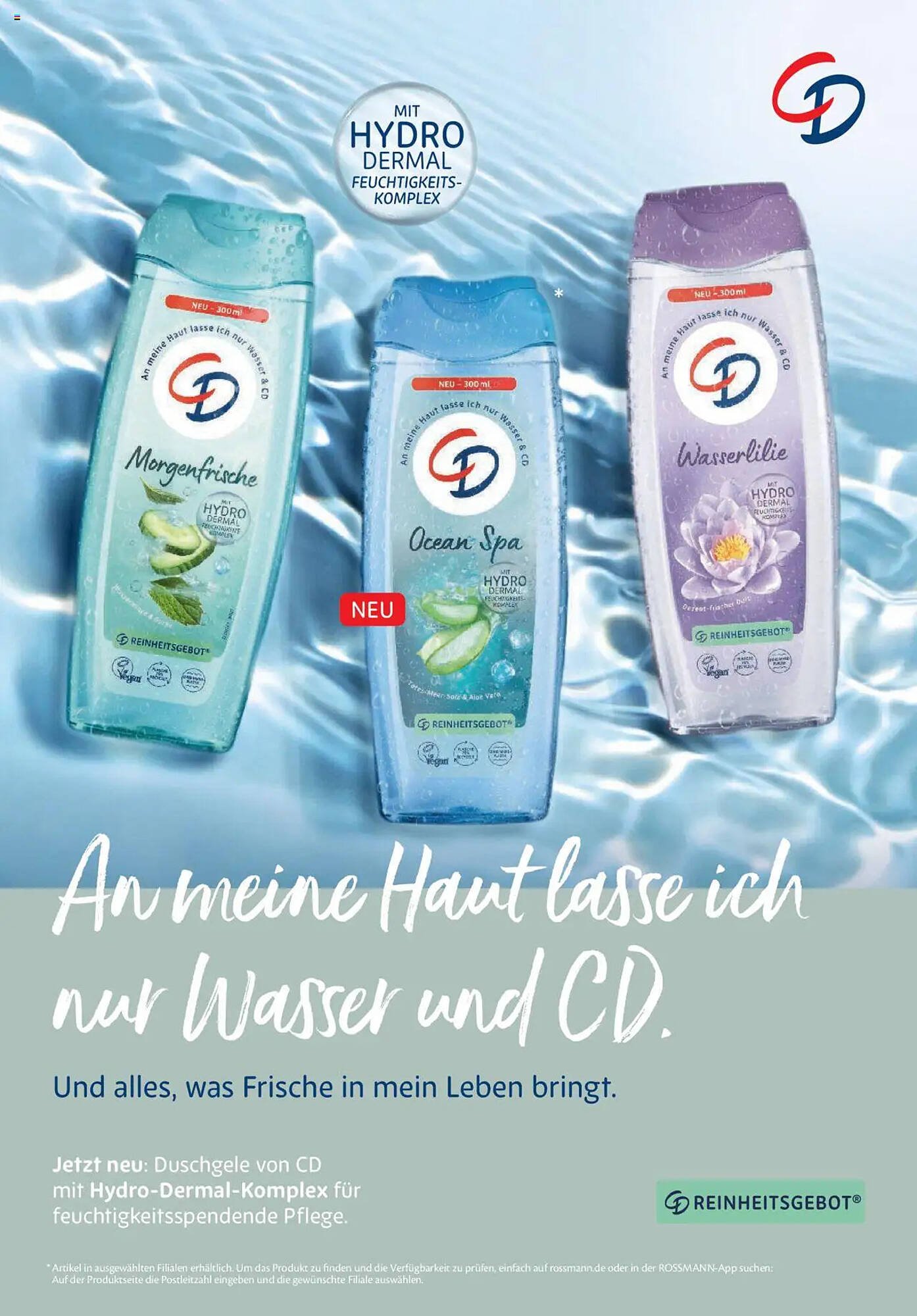 Rossmann Prospekt (2025-08-01 - 2025-08-31)