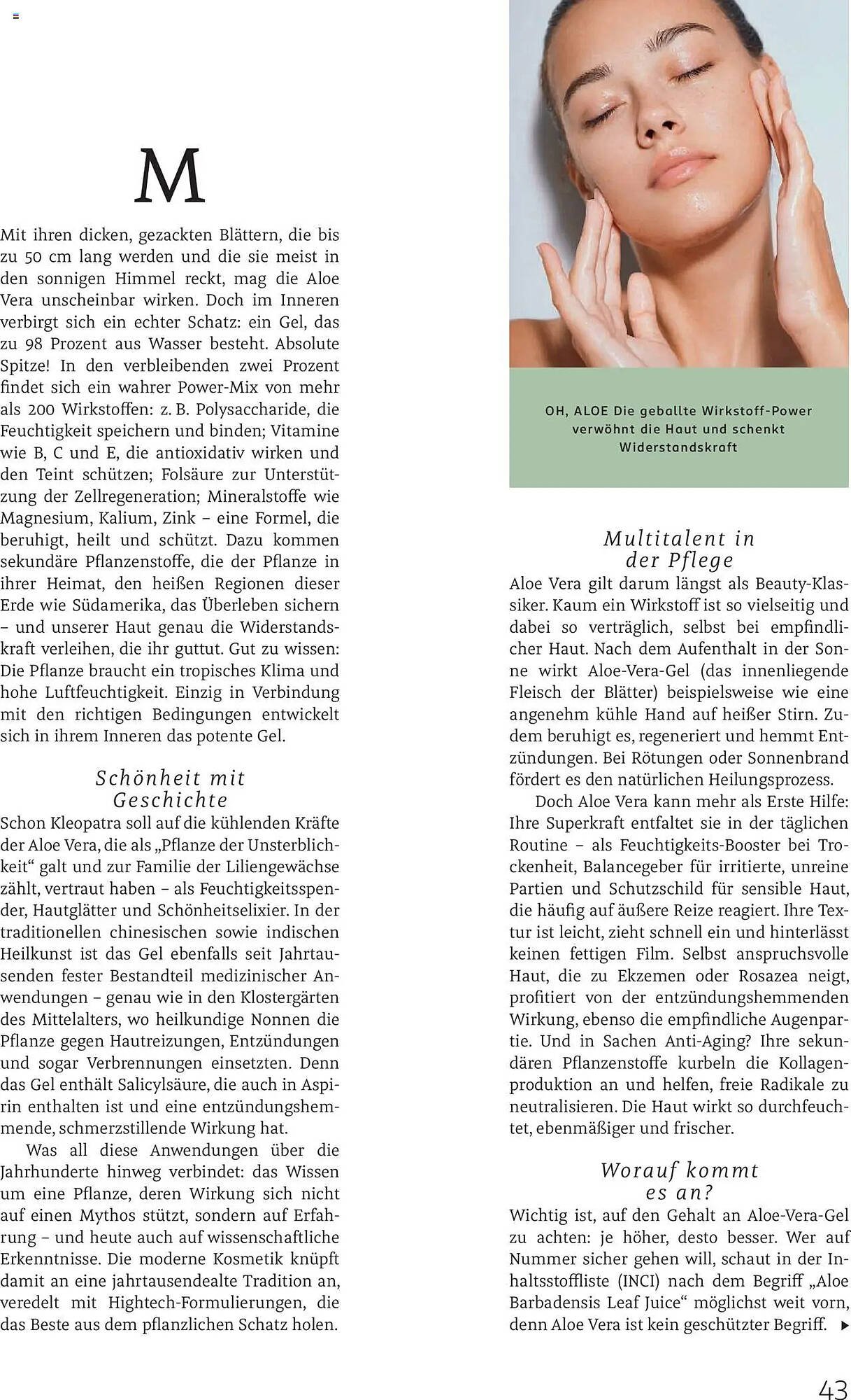 Rossmann Prospekt (2025-08-01 - 2025-08-31)