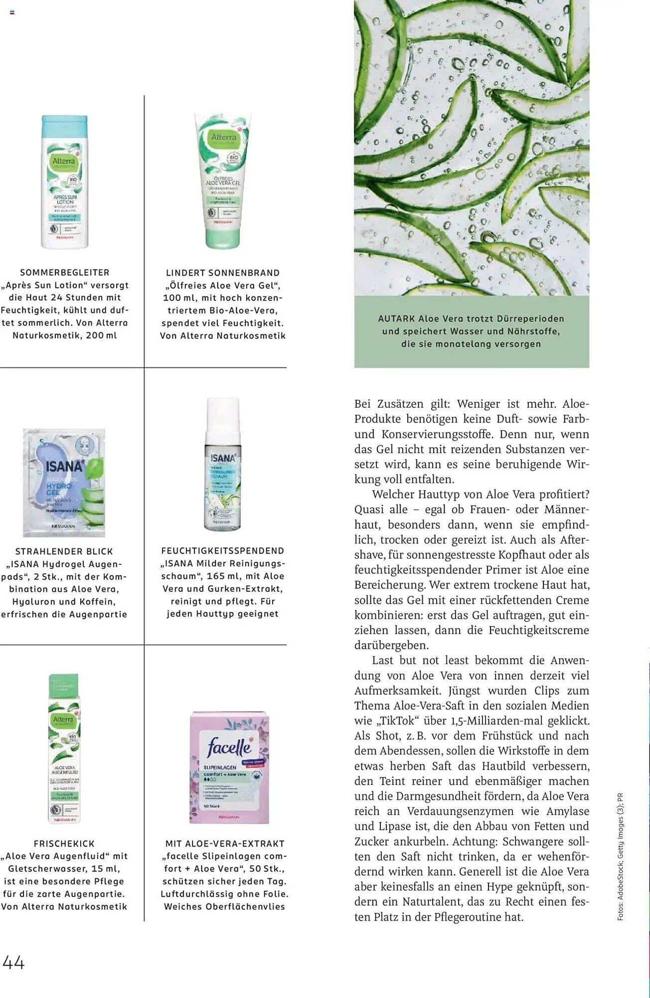 Rossmann Prospekt (2025-08-01 - 2025-08-31)
