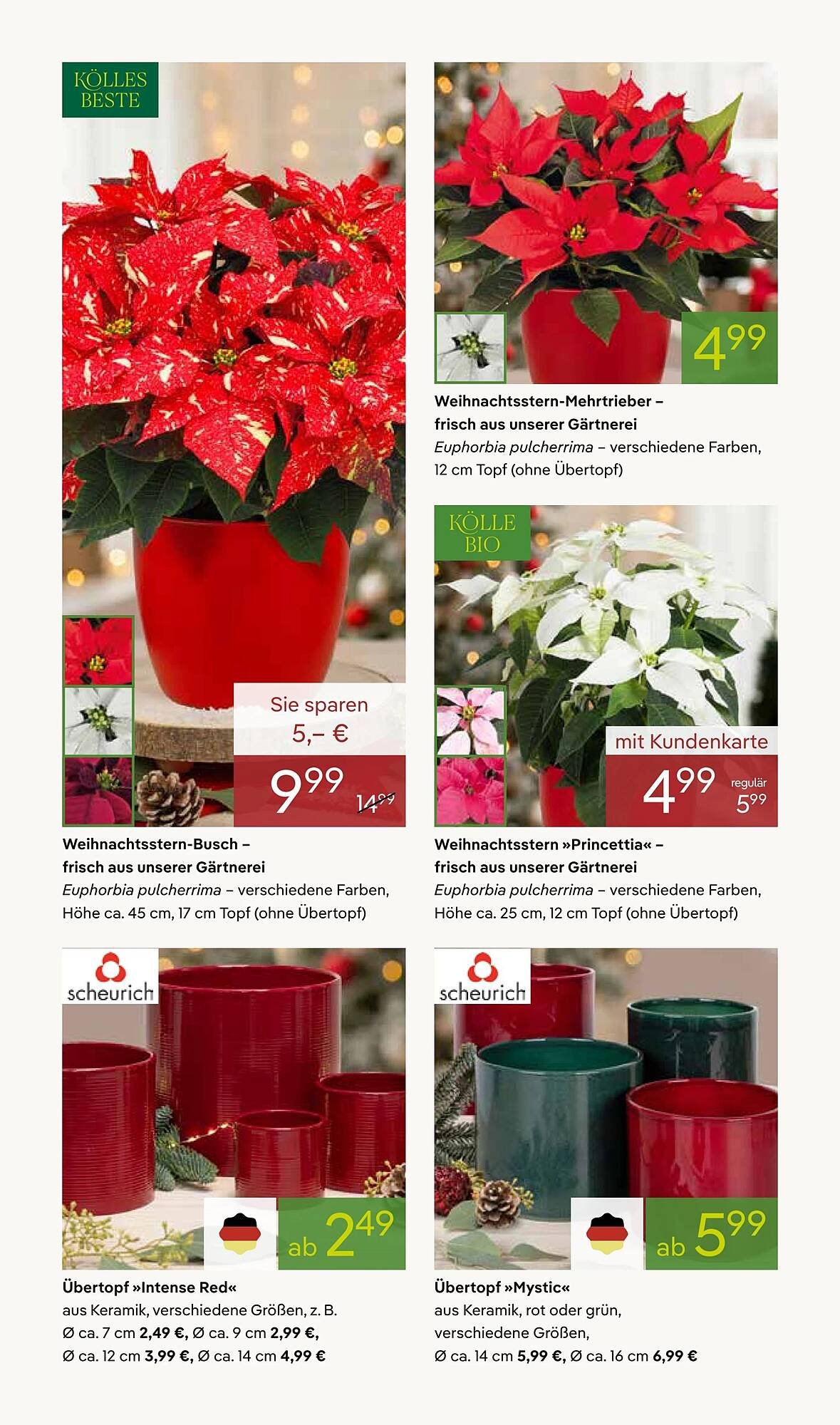 Pflanzen Kölle Prospekt (2025-11-17 - 2025-11-24)