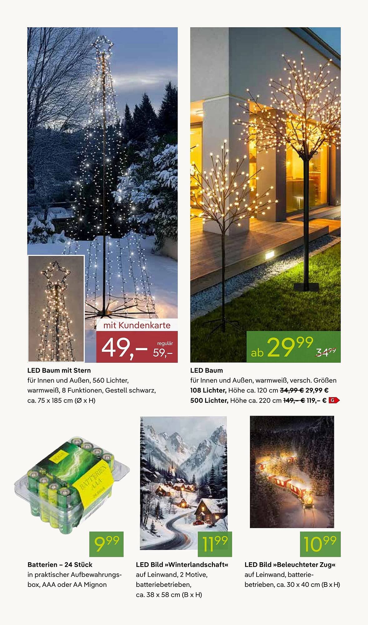 Pflanzen Kölle Prospekt (2025-11-17 - 2025-11-24)