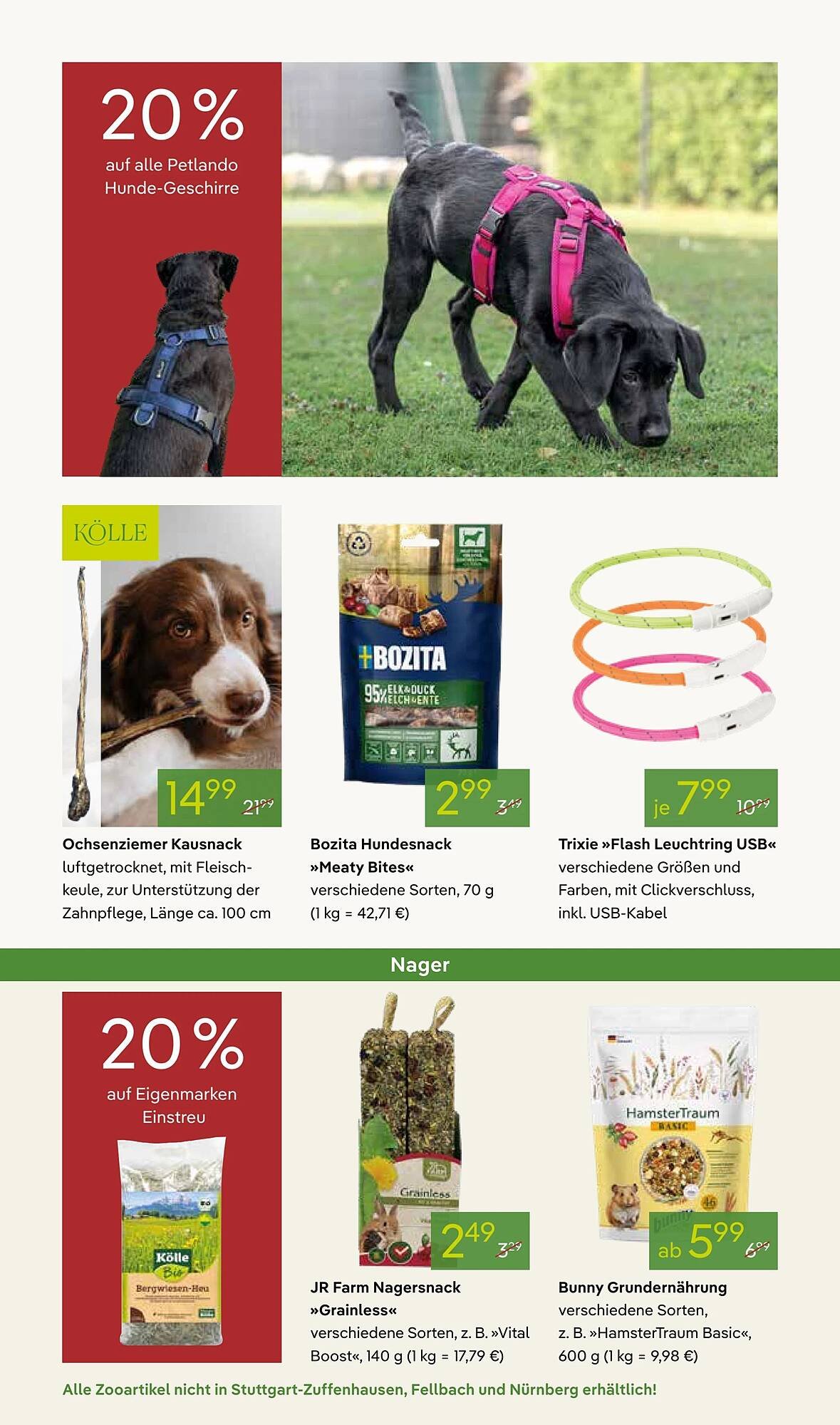 Pflanzen Kölle Prospekt (2025-11-17 - 2025-11-24)