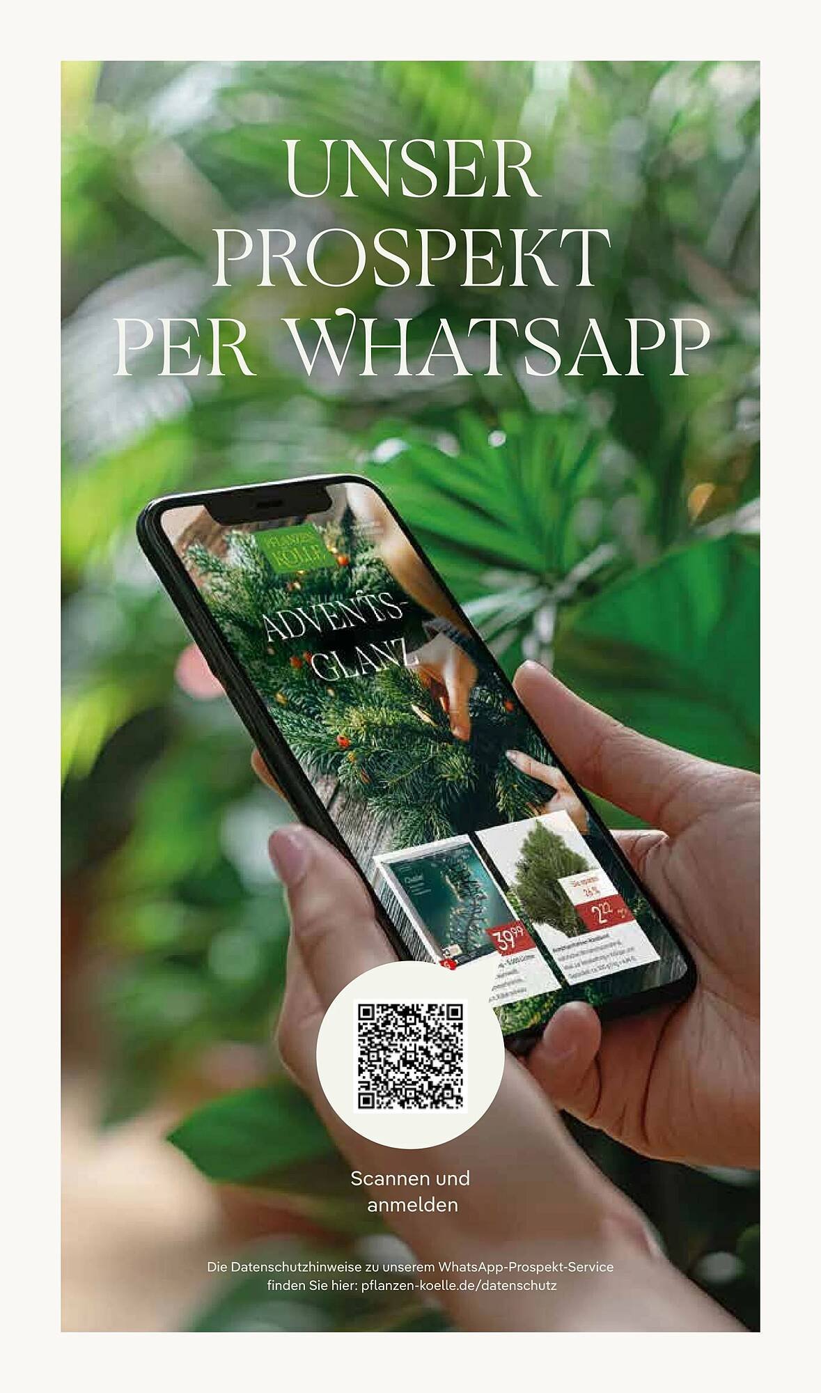 Pflanzen Kölle Prospekt (2025-11-17 - 2025-11-24)