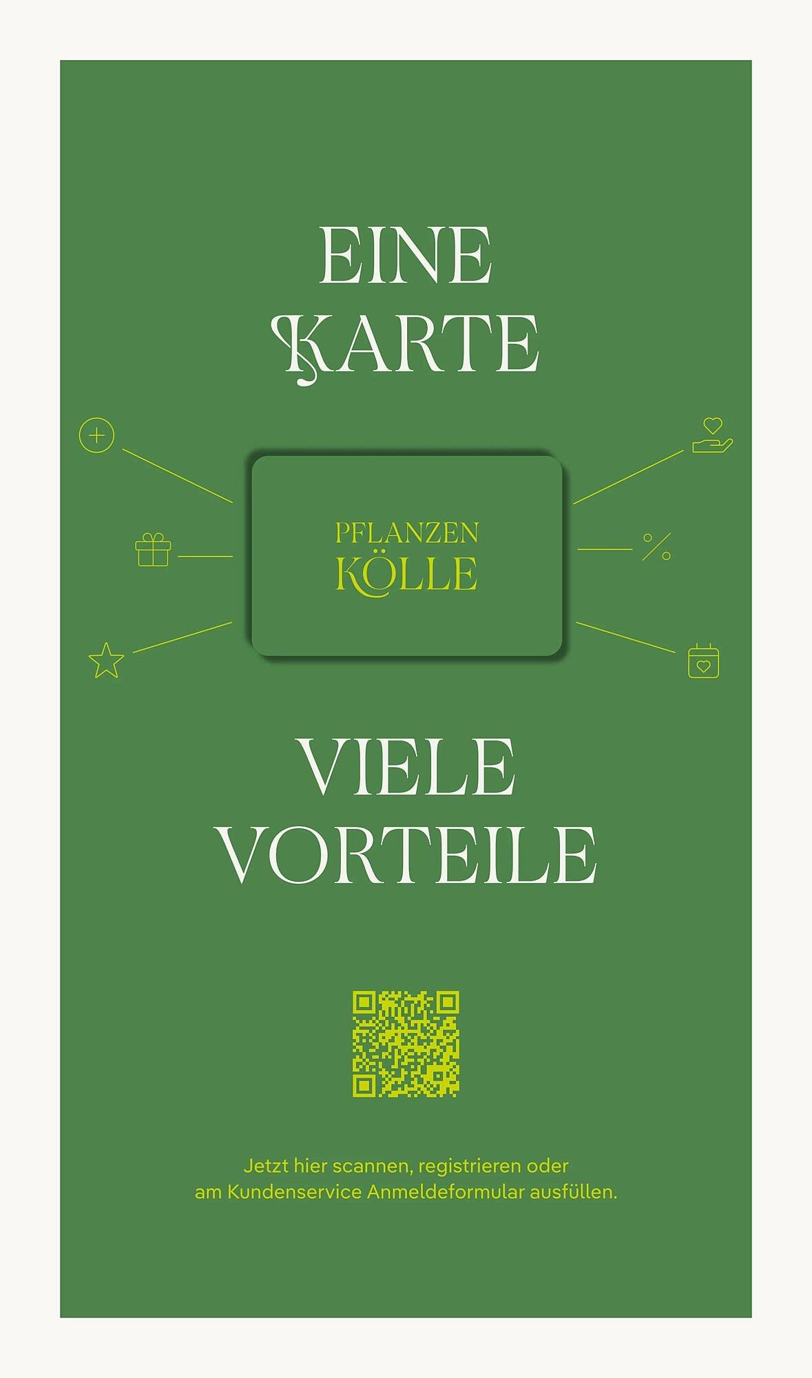 Pflanzen Kölle Prospekt (2025-11-17 - 2025-11-24)