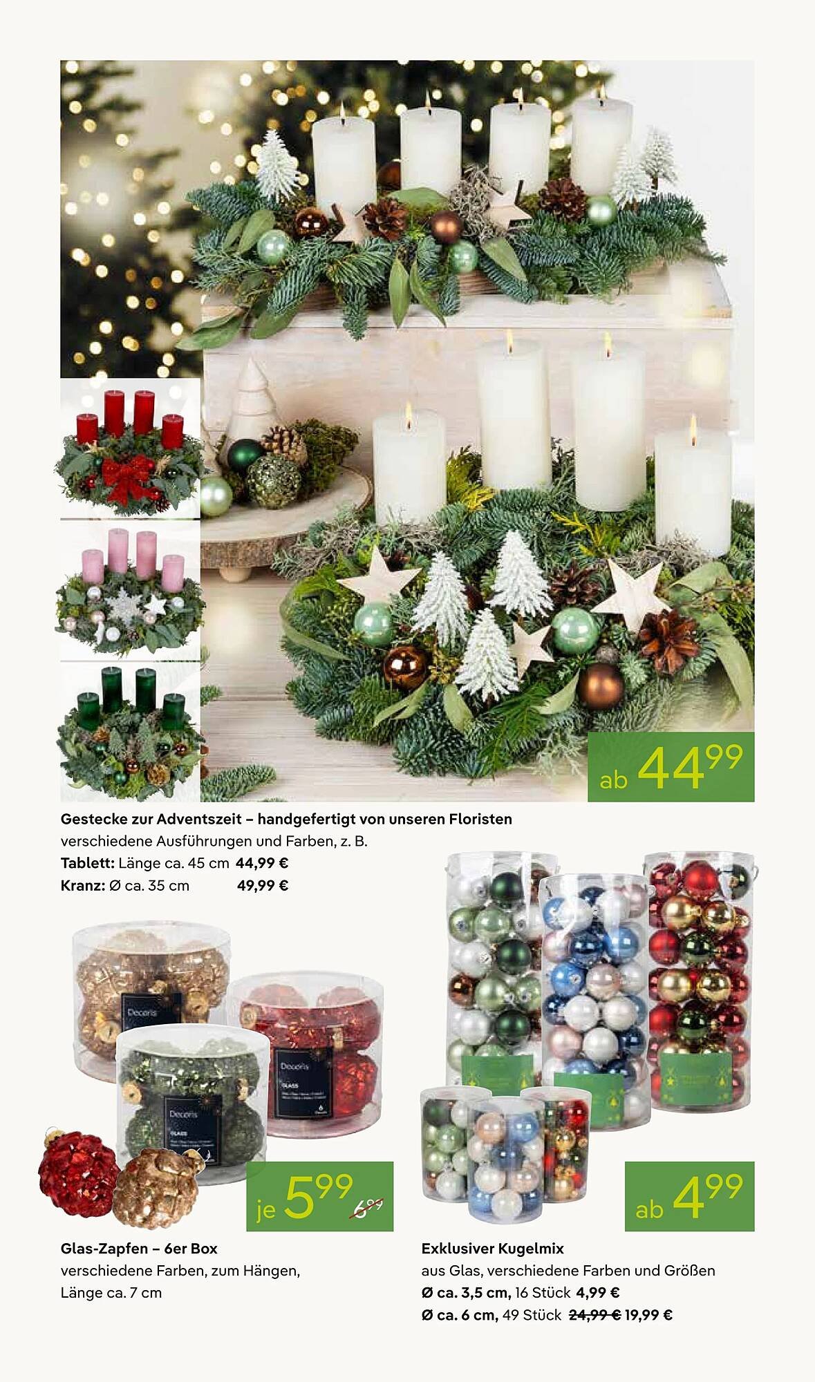 Pflanzen Kölle Prospekt (2025-11-17 - 2025-11-24)