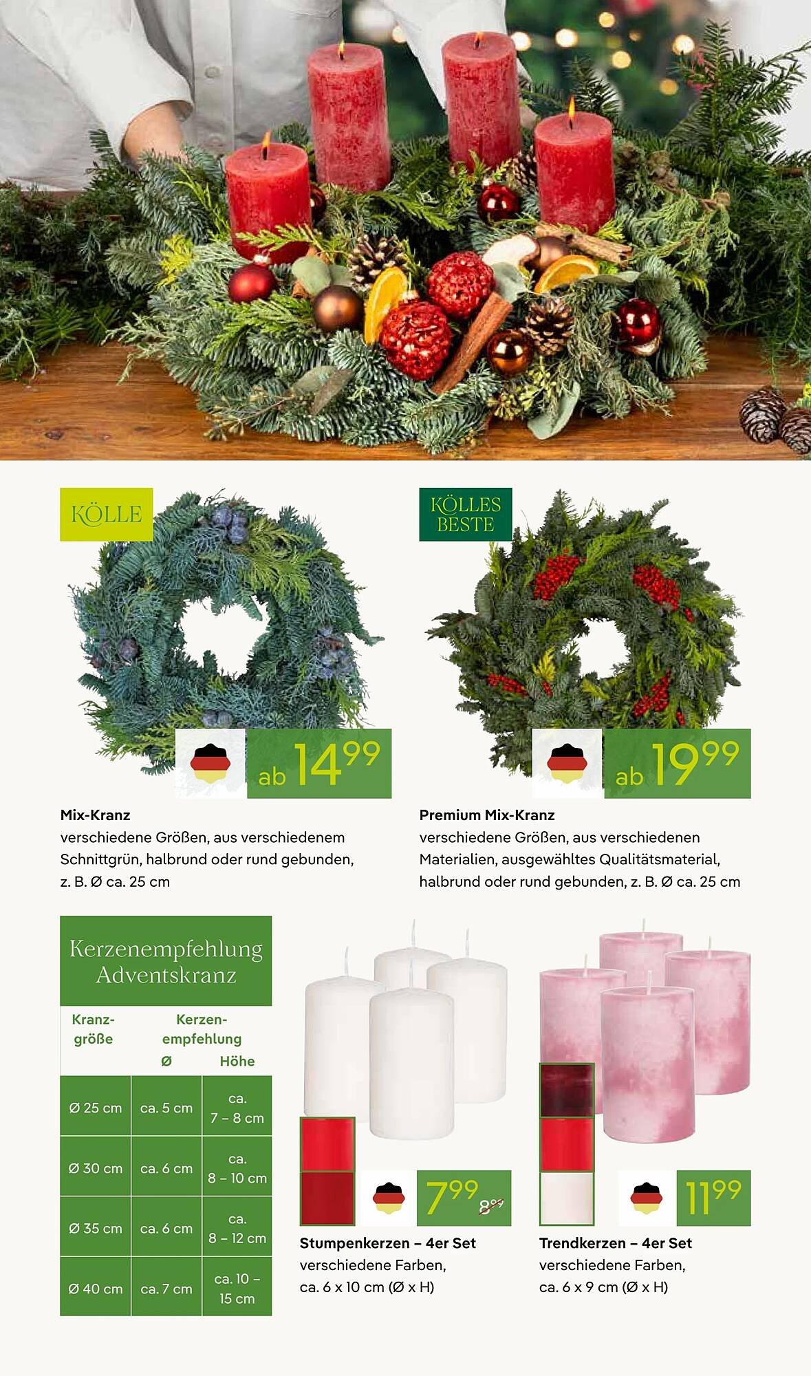 Pflanzen Kölle Prospekt (2025-11-17 - 2025-11-24)