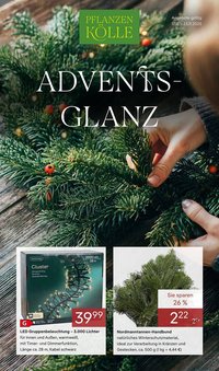 Pflanzen Kölle Prospekt (2025-11-17 - 2025-11-24)