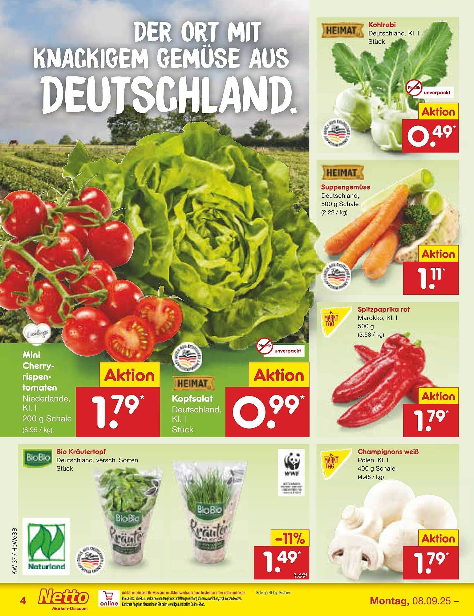 Netto Marken-Discount Prospekt (2025-09-08 - 2025-09-13)