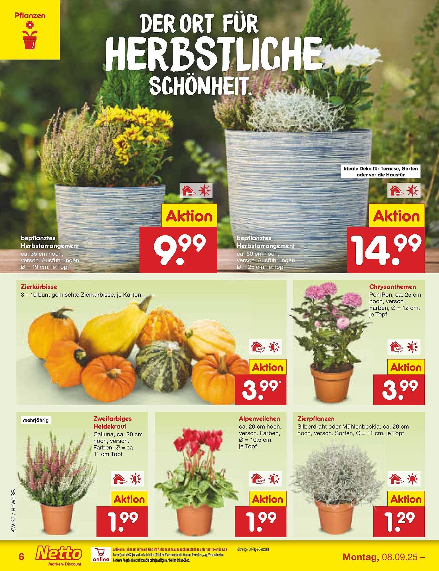 Netto Marken-Discount Prospekt (2025-09-08 - 2025-09-13)