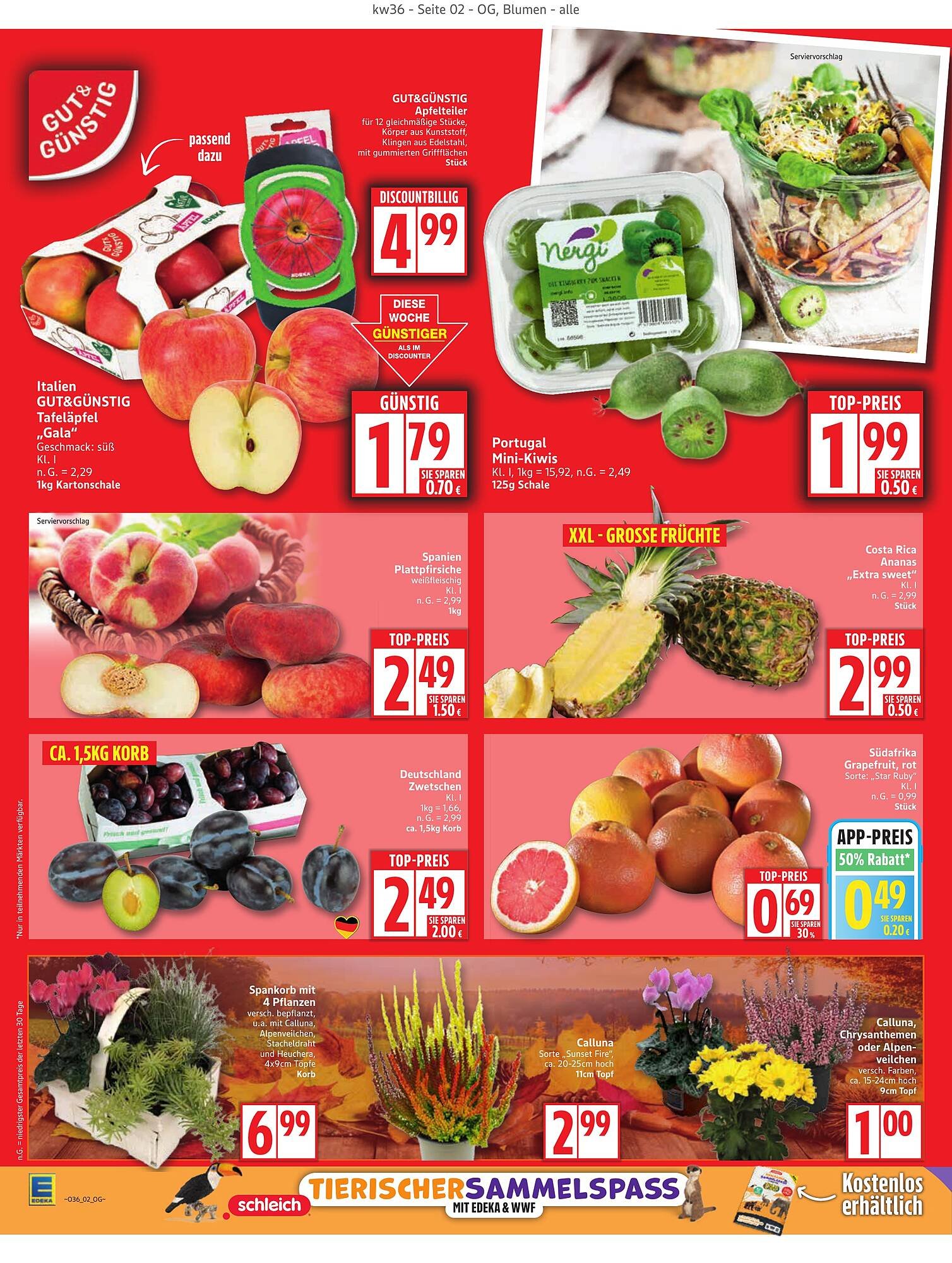 Edeka Prospekt (2025-09-01 - 2025-09-06) | 2